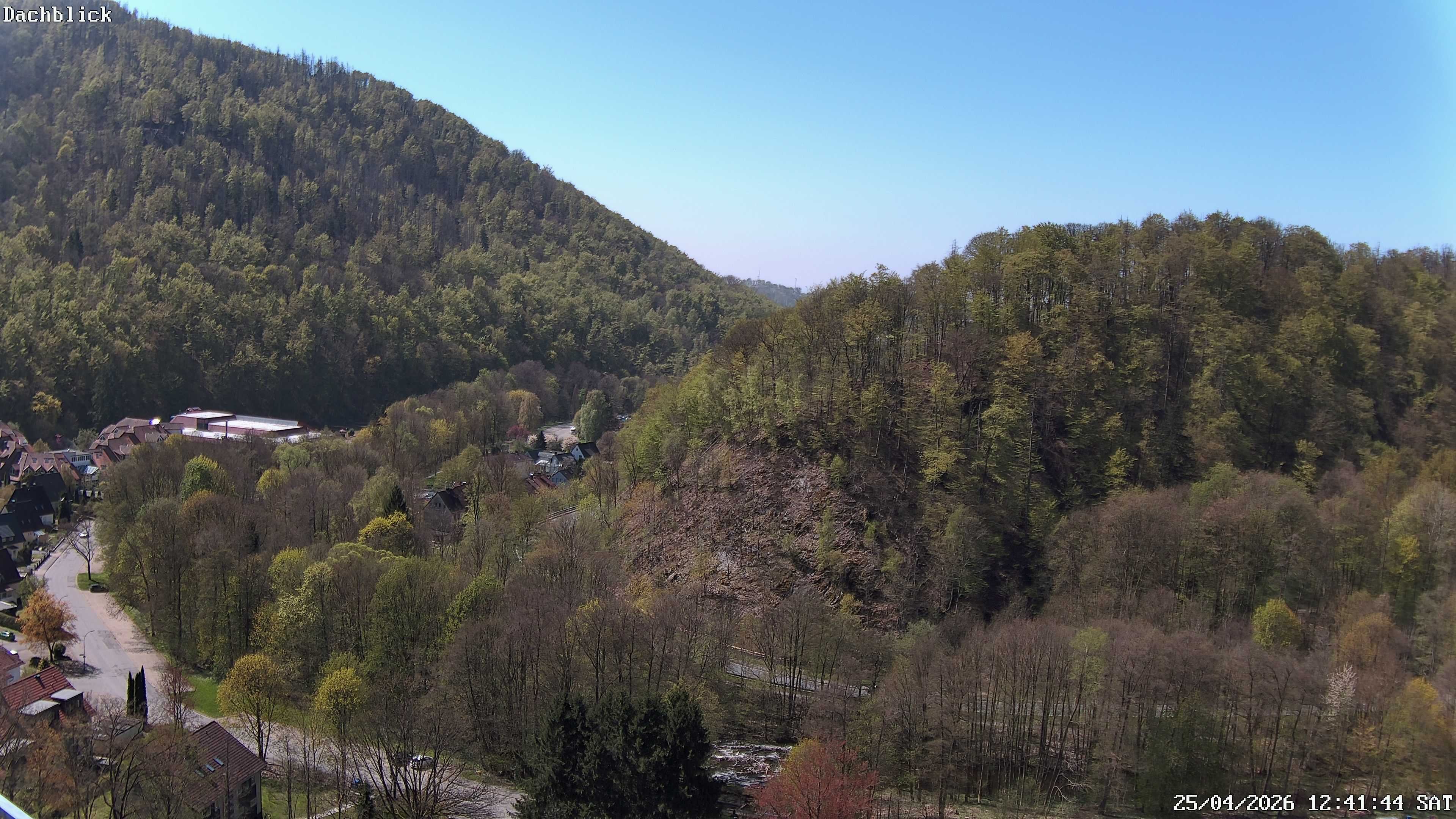 Archiv Foto Webcam Bad Lauterberg: Panoramic Hotel Harz