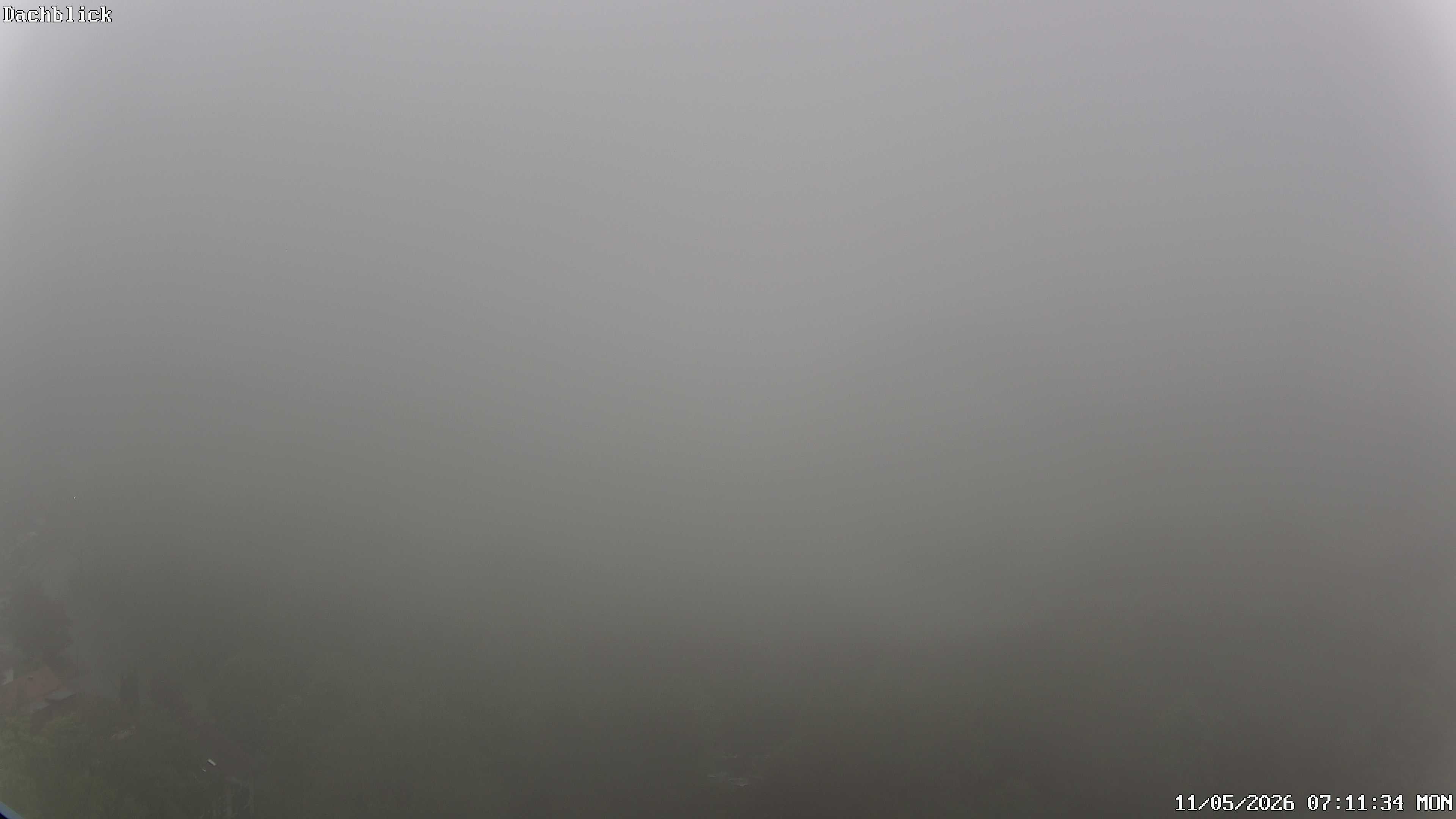 Archiv Foto Webcam Bad Lauterberg: Panoramic Hotel Harz