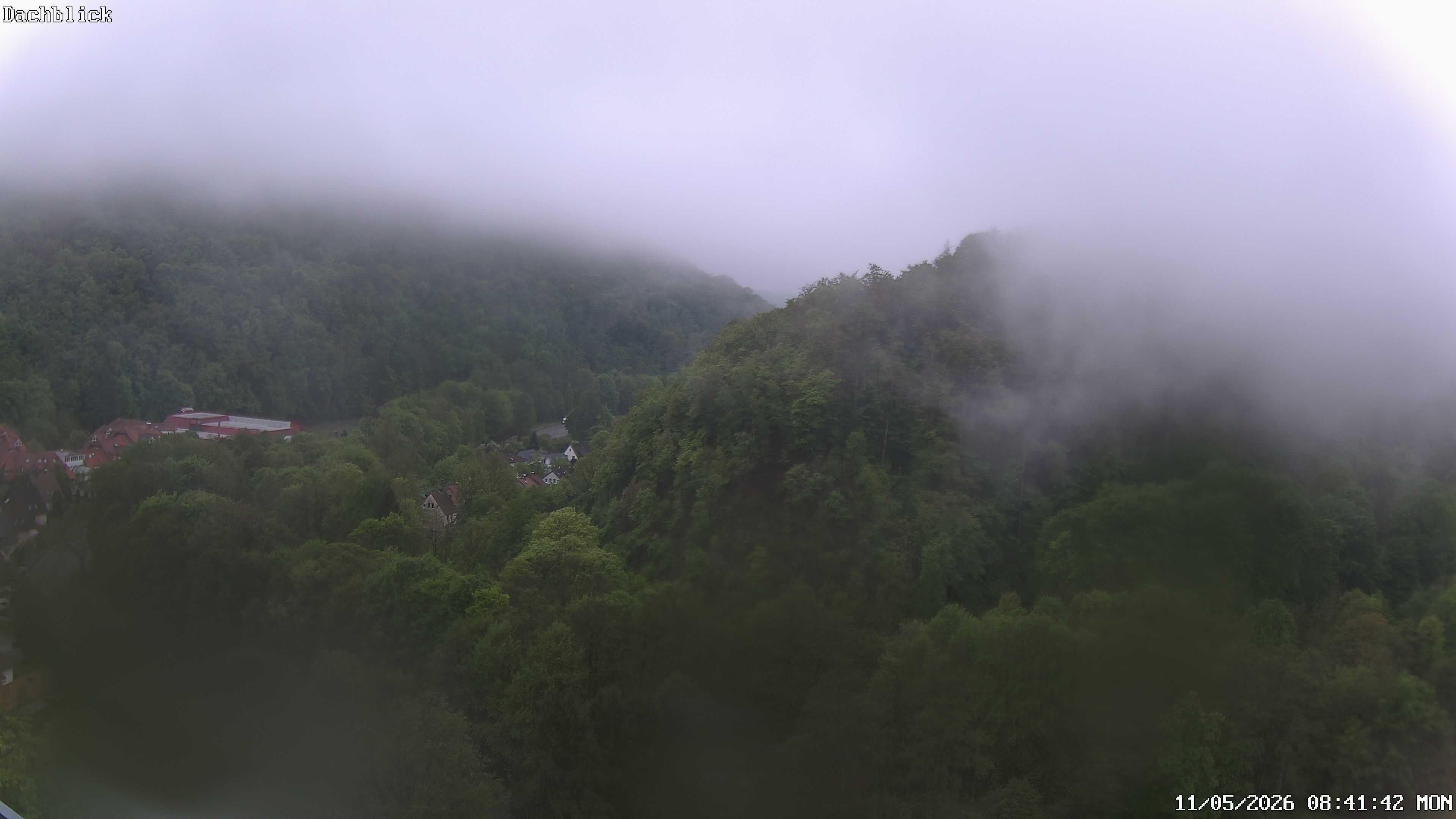 Archiv Foto Webcam Bad Lauterberg: Panoramic Hotel Harz