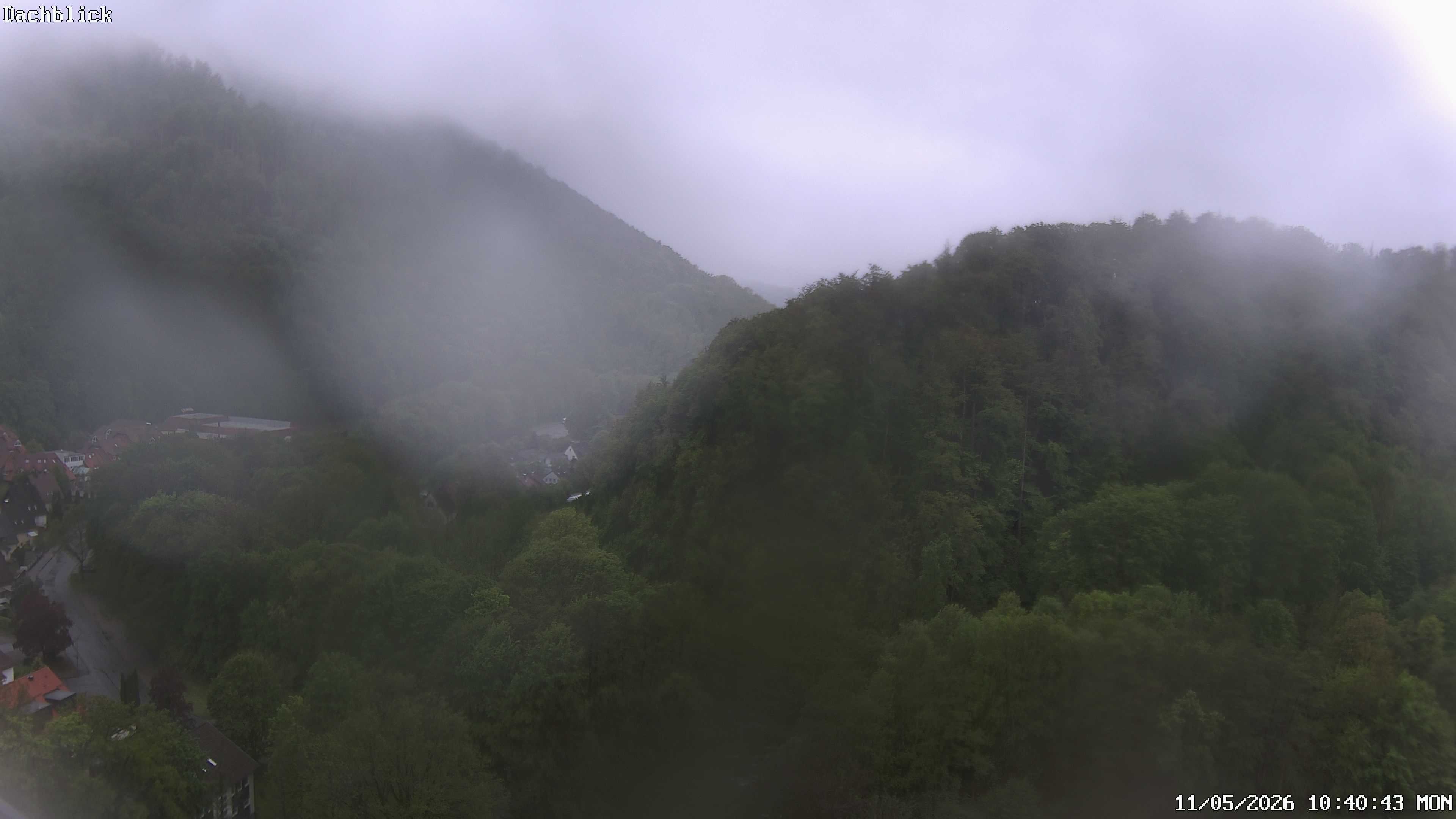 Archiv Foto Webcam Bad Lauterberg: Panoramic Hotel Harz