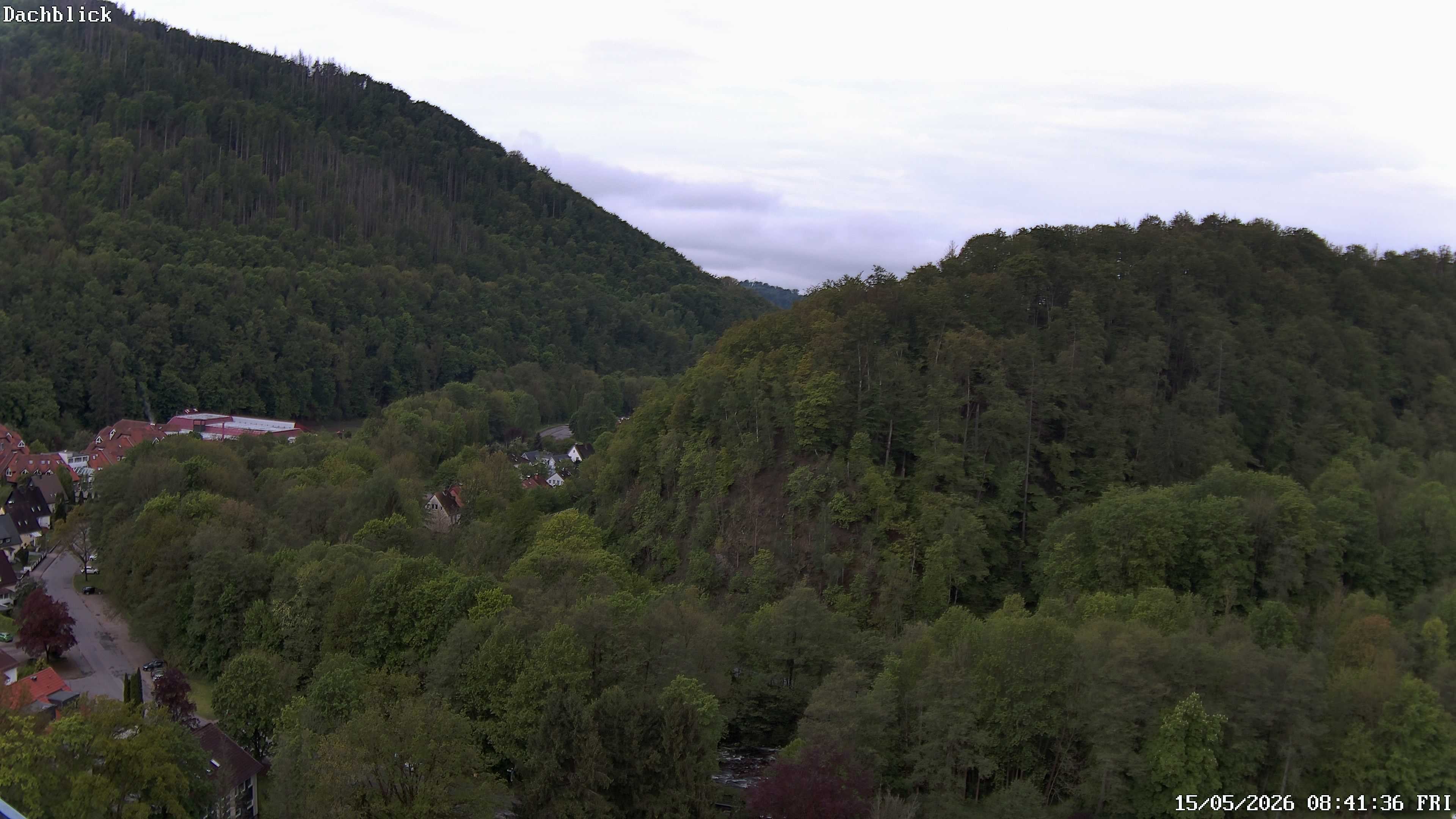 Archiv Foto Webcam Bad Lauterberg: Panoramic Hotel Harz