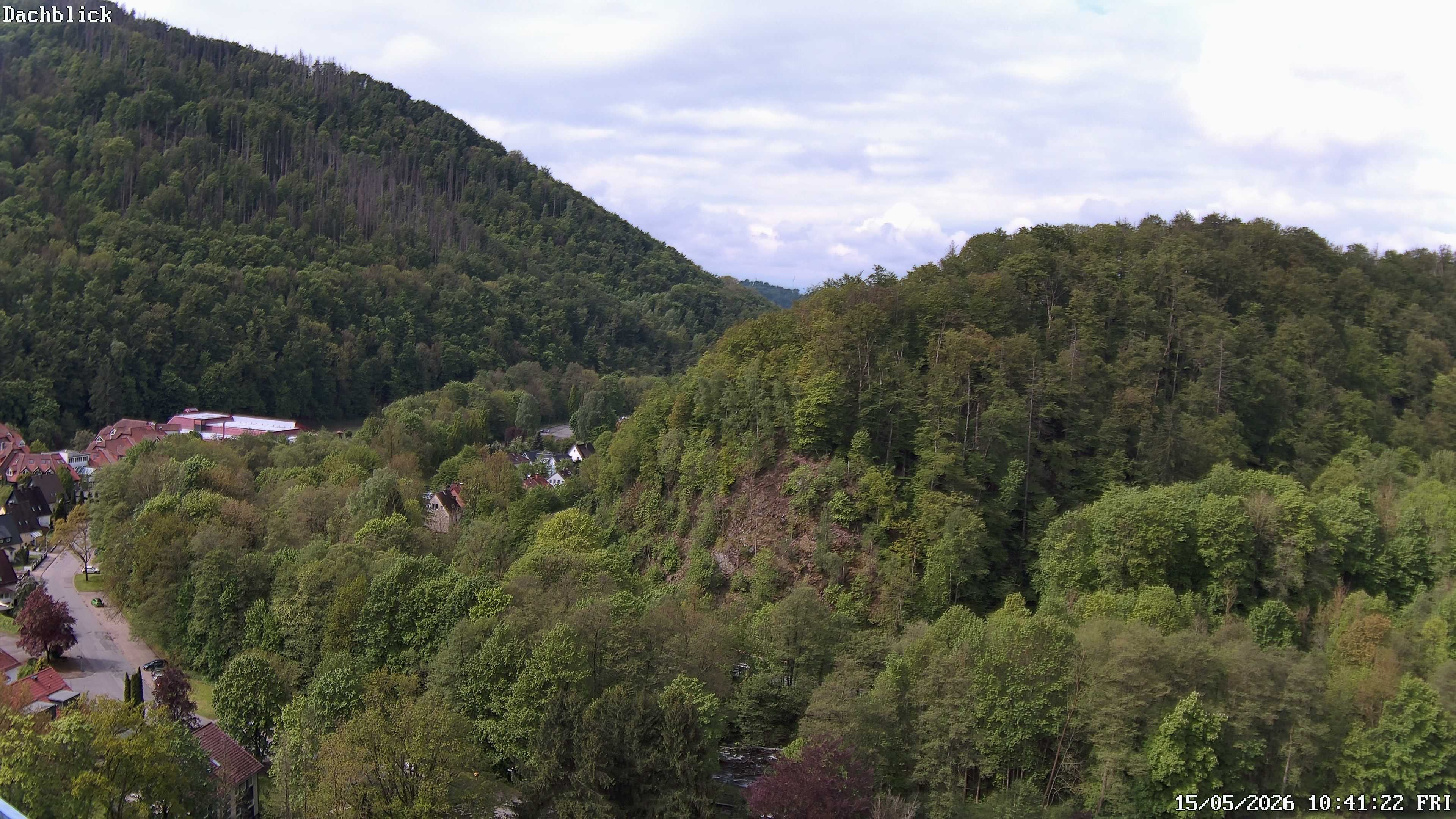 Archiv Foto Webcam Bad Lauterberg: Panoramic Hotel Harz