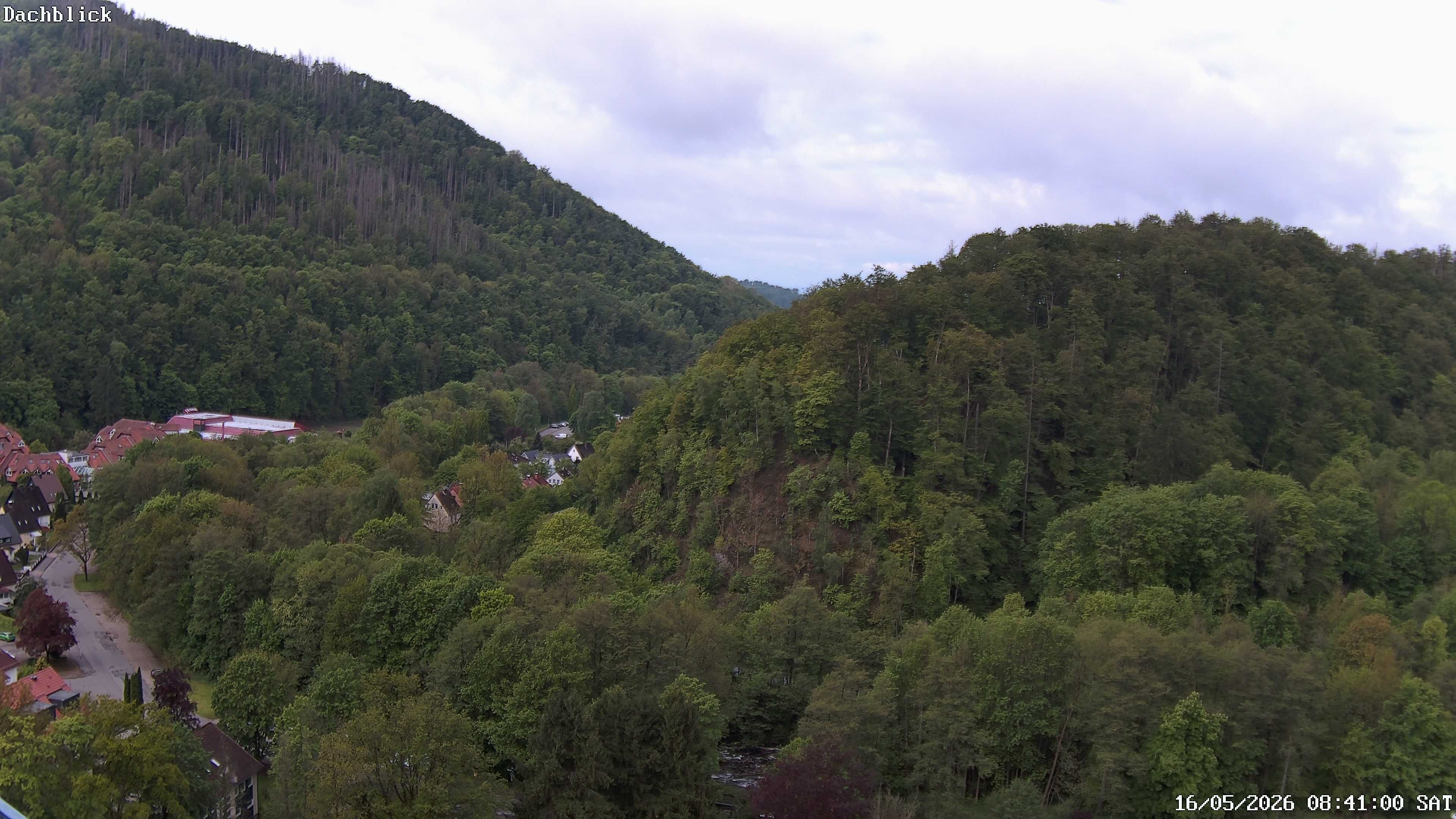 Archiv Foto Webcam Bad Lauterberg: Panoramic Hotel Harz