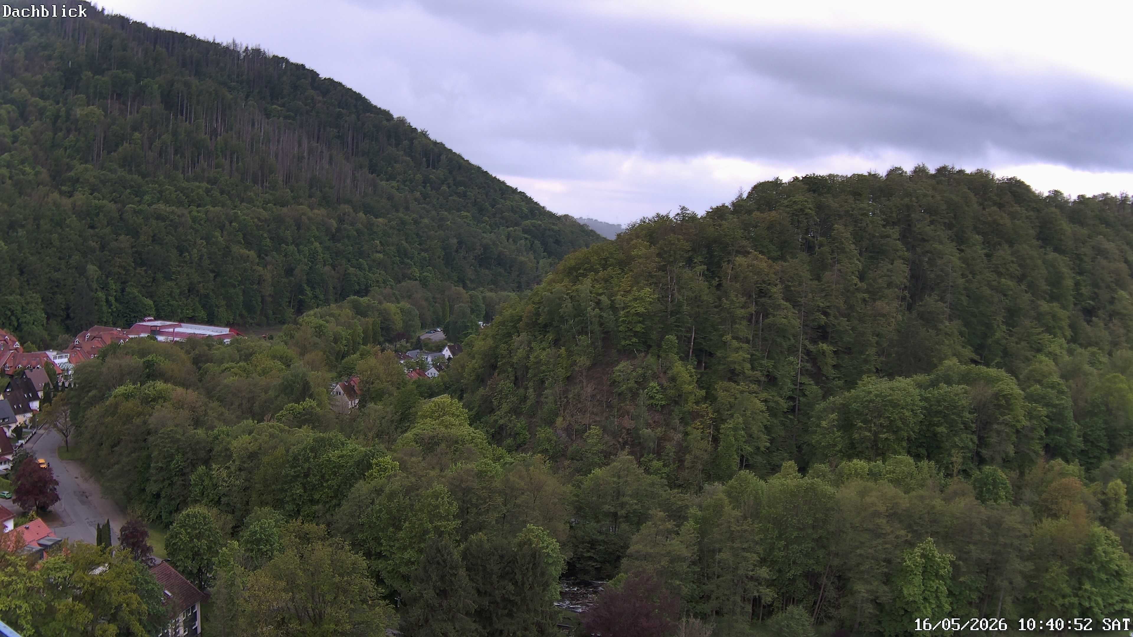 Archiv Foto Webcam Bad Lauterberg: Panoramic Hotel Harz