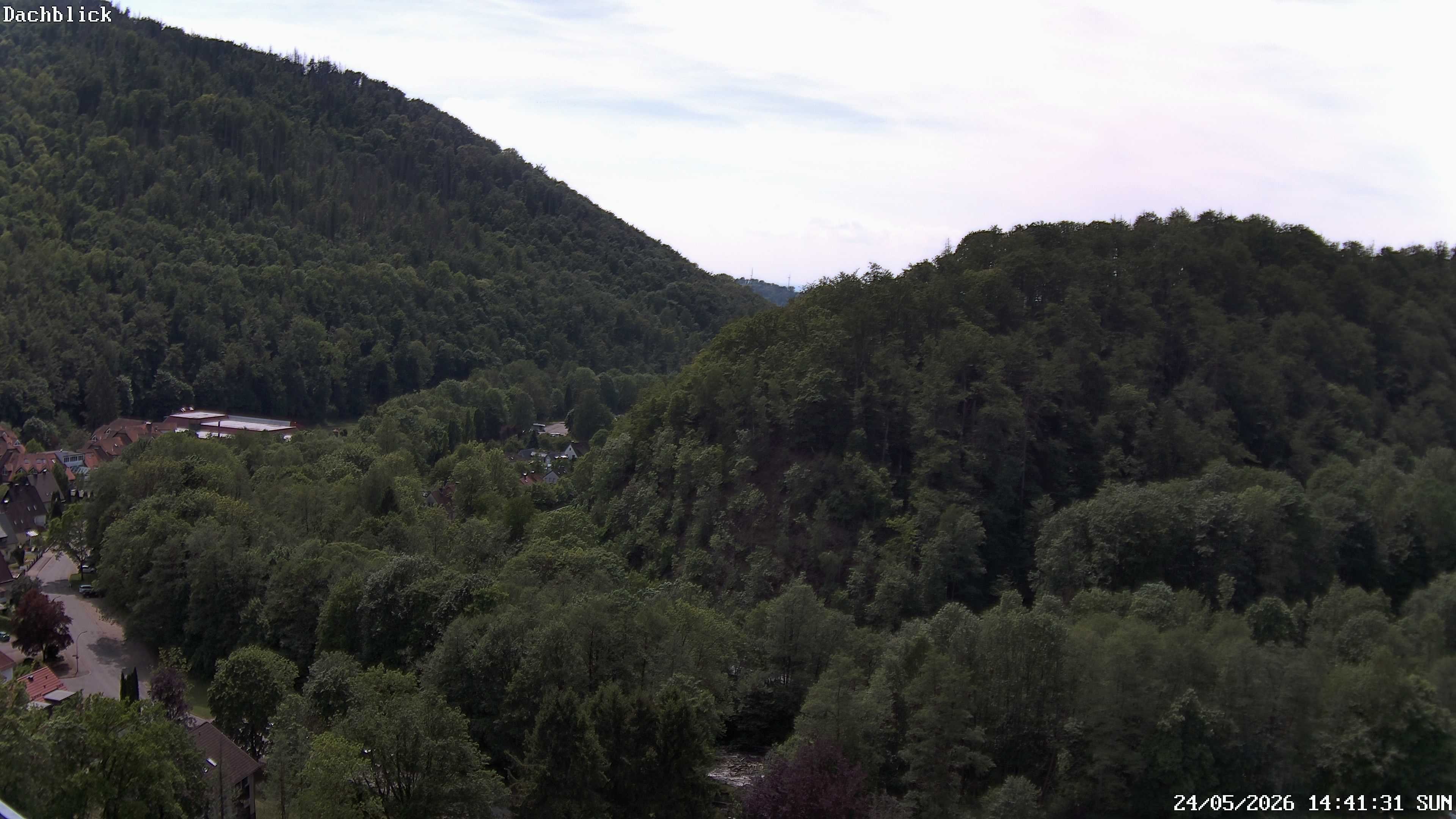 Archived image Webcam Bad Lauterberg: View Panoramic Hotel