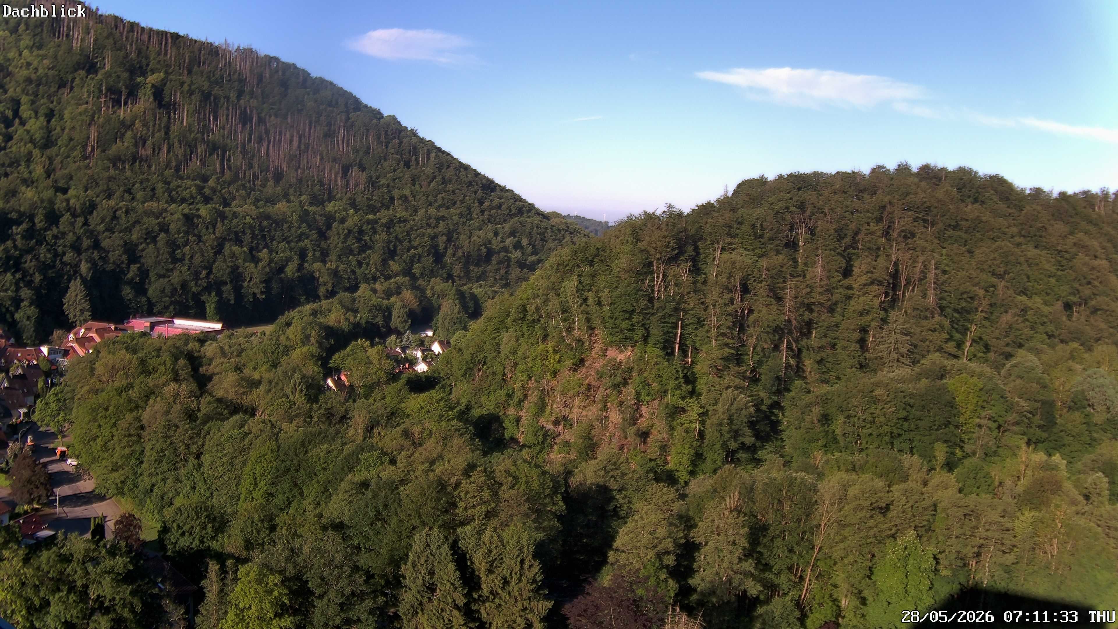Archiv Foto Webcam Bad Lauterberg: Panoramic Hotel Harz