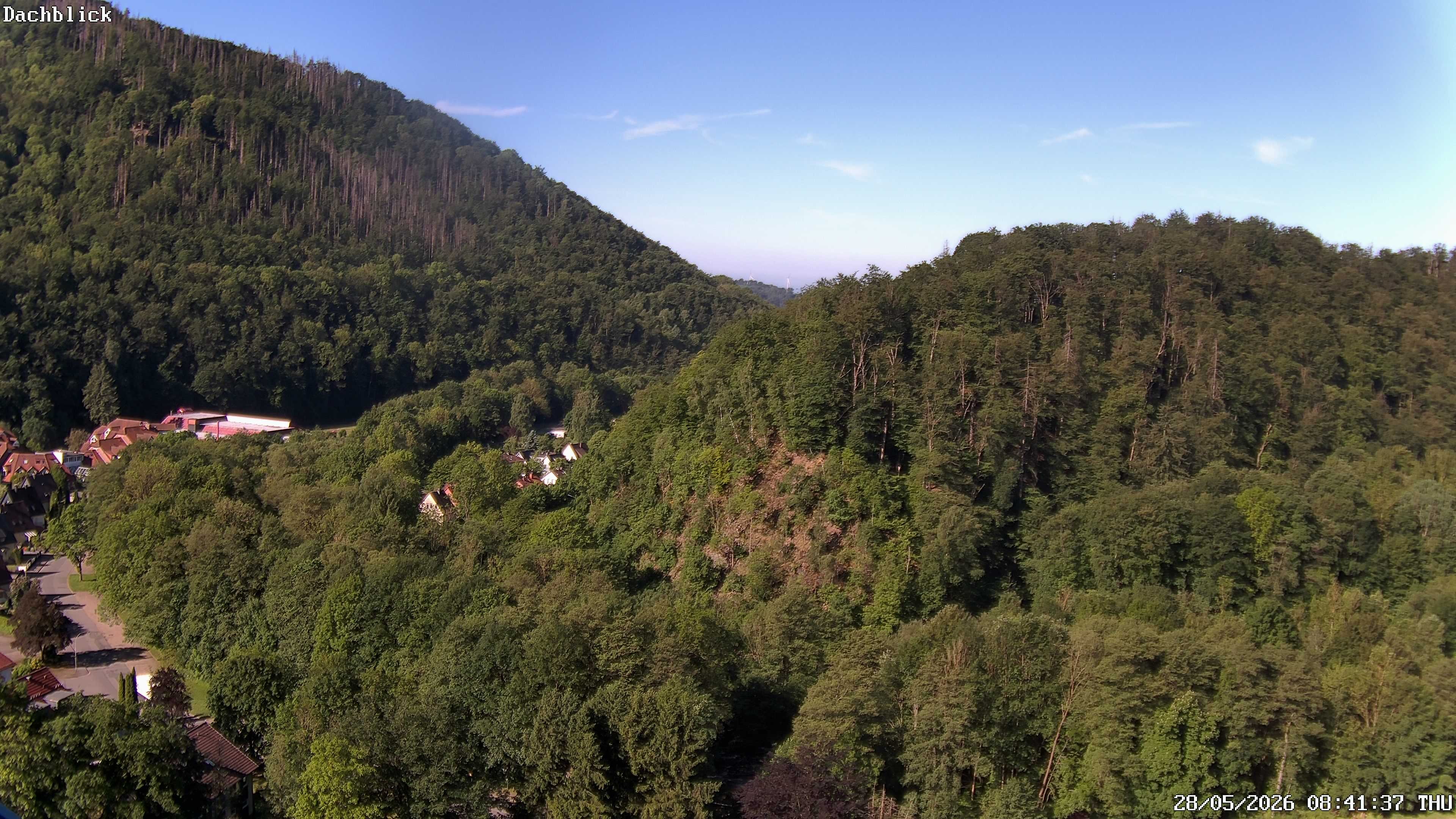Archiv Foto Webcam Bad Lauterberg: Panoramic Hotel Harz