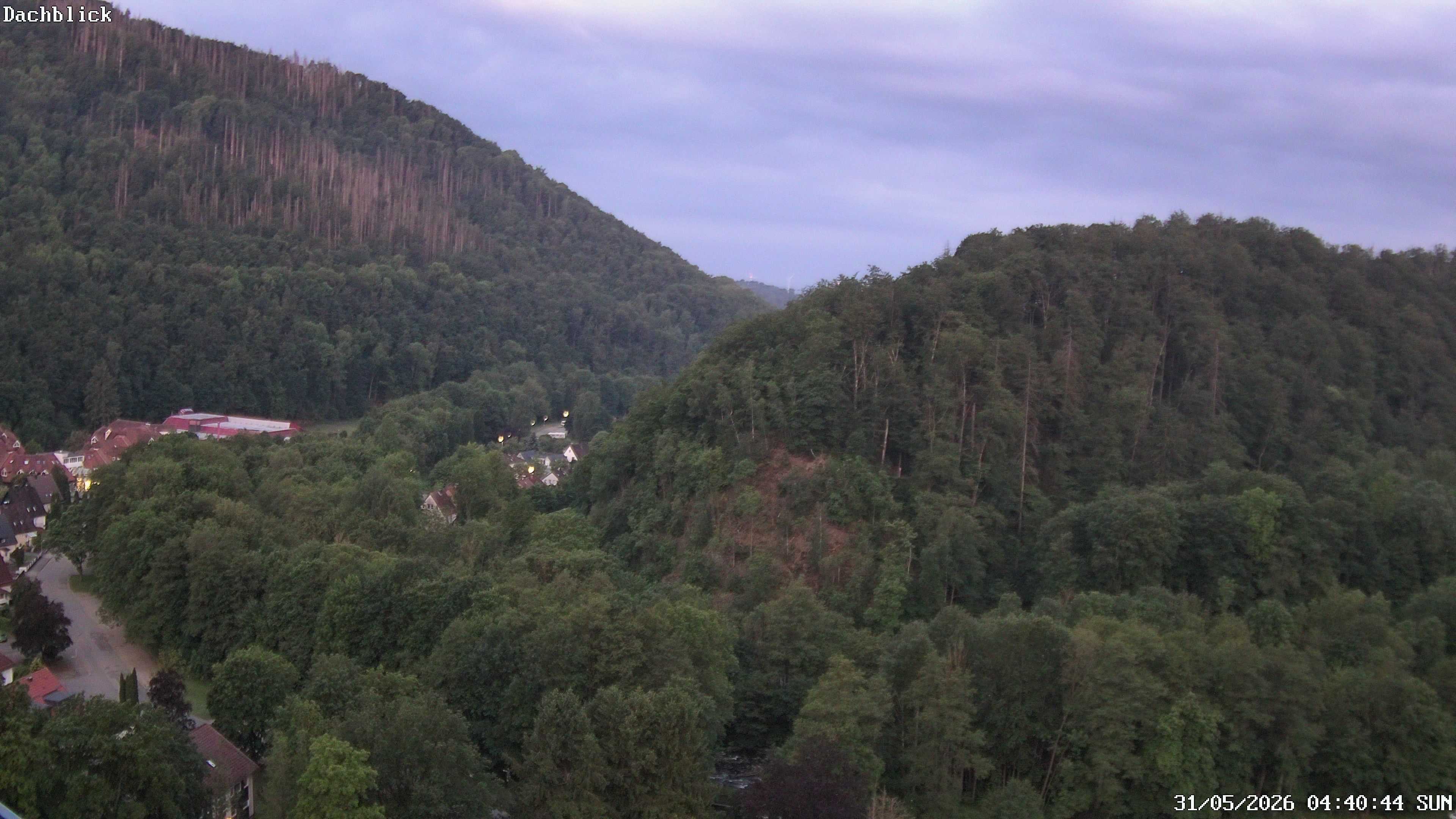 Archiv Foto Webcam Bad Lauterberg: Panoramic Hotel Harz