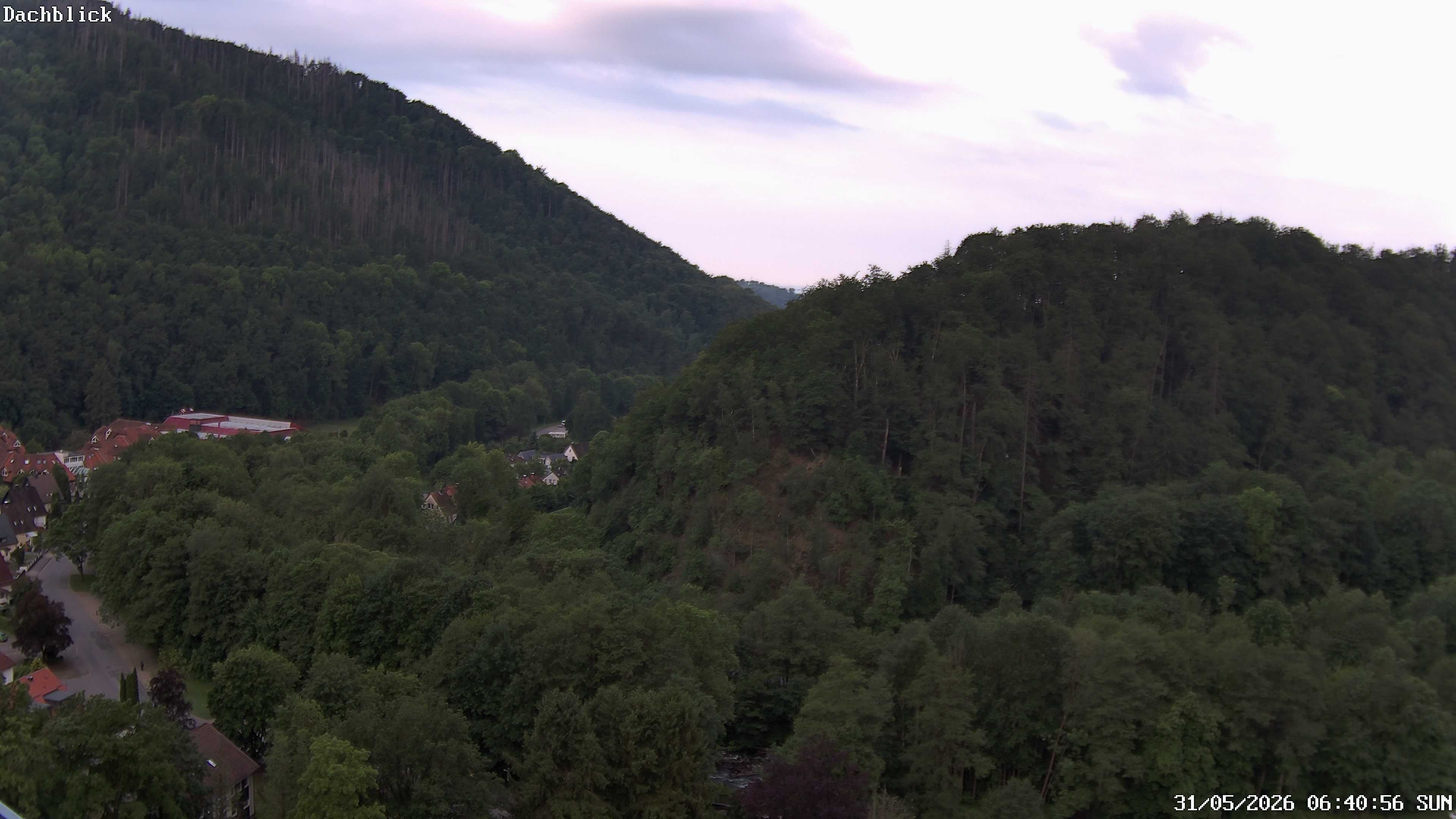 Archiv Foto Webcam Bad Lauterberg: Panoramic Hotel Harz