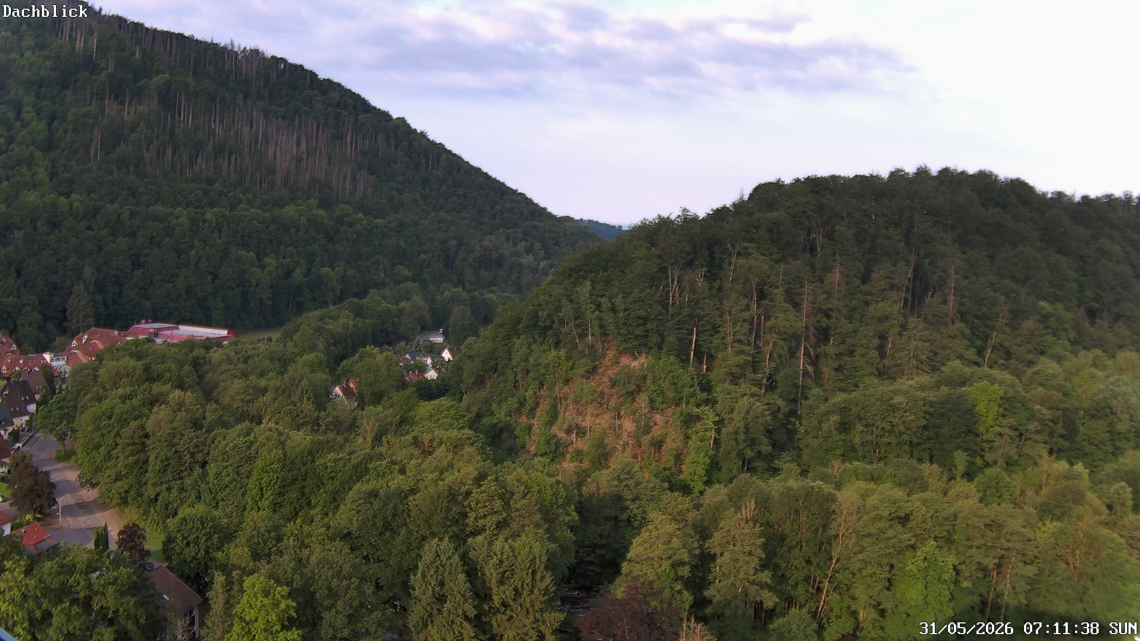 Archiv Foto Webcam Bad Lauterberg: Panoramic Hotel Harz