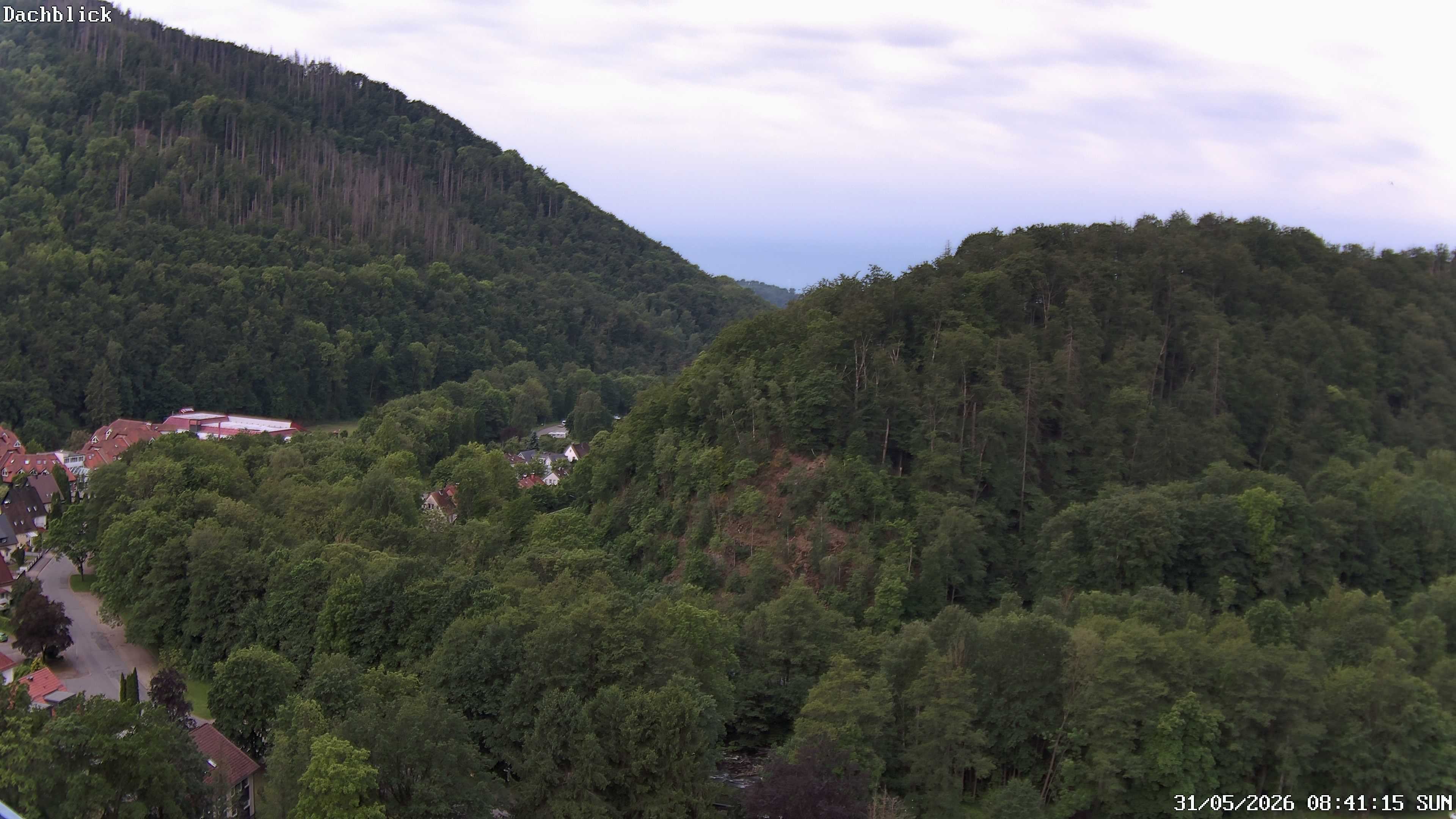 Archiv Foto Webcam Bad Lauterberg: Panoramic Hotel Harz