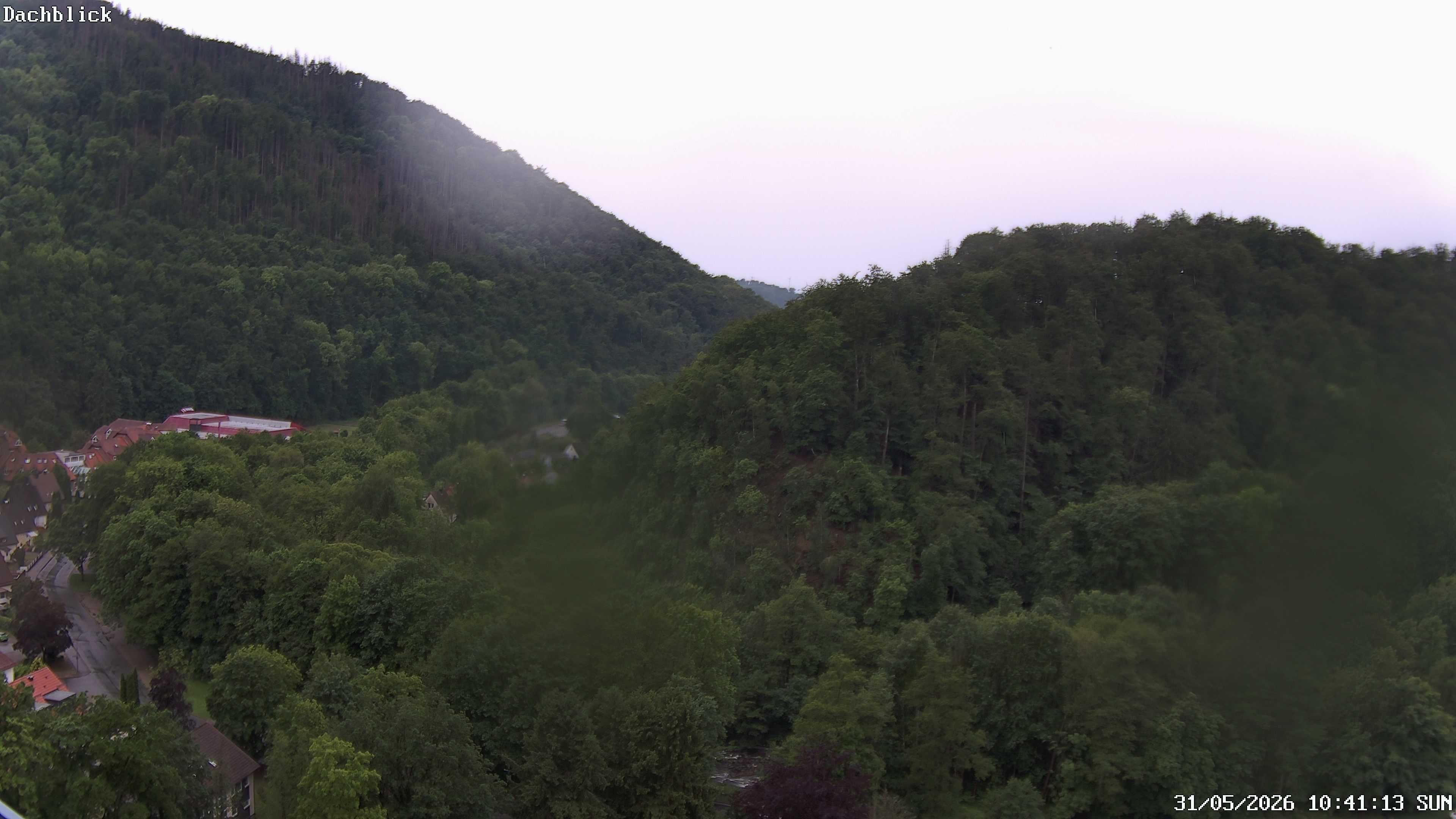 Archiv Foto Webcam Bad Lauterberg: Panoramic Hotel Harz