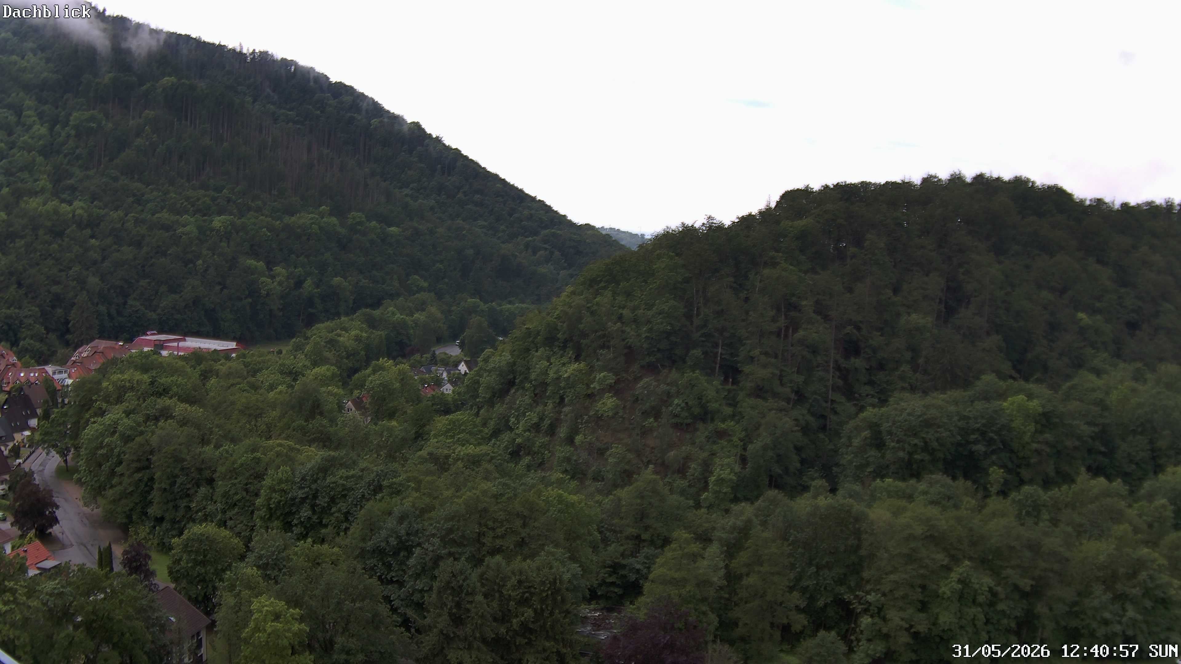 Archiv Foto Webcam Bad Lauterberg: Panoramic Hotel Harz