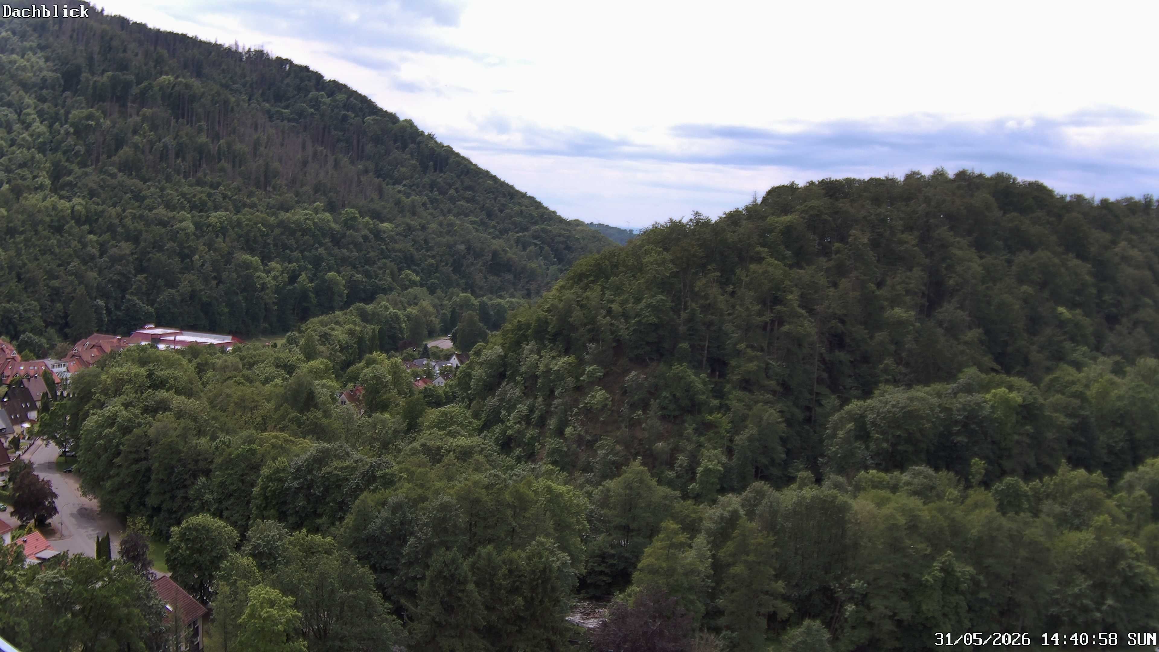 Archiv Foto Webcam Bad Lauterberg: Panoramic Hotel Harz
