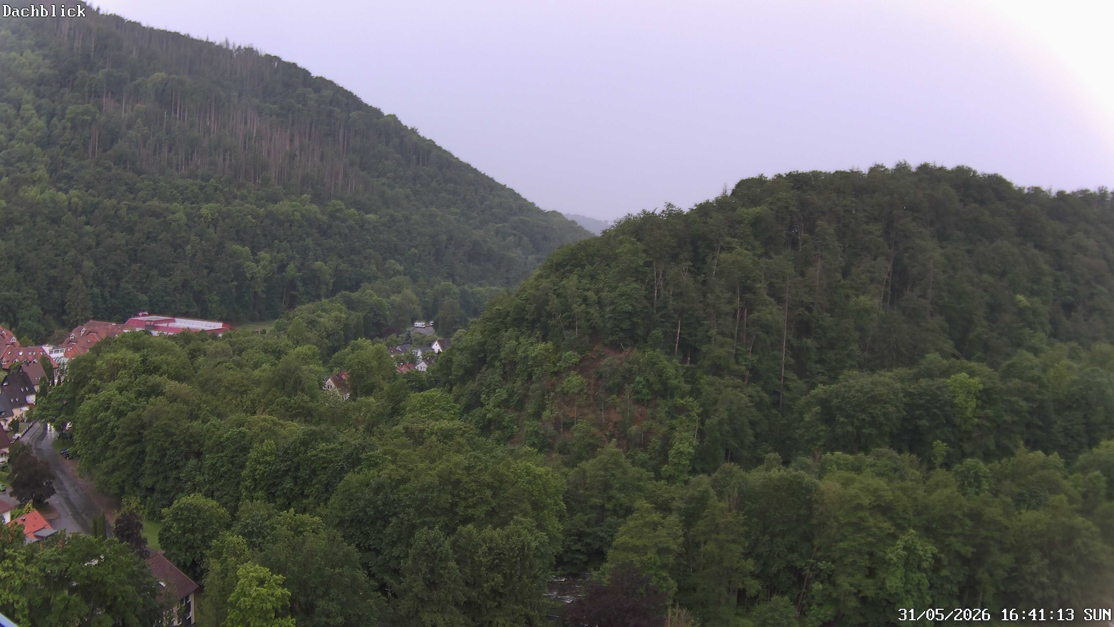 Archiv Foto Webcam Bad Lauterberg: Panoramic Hotel Harz
