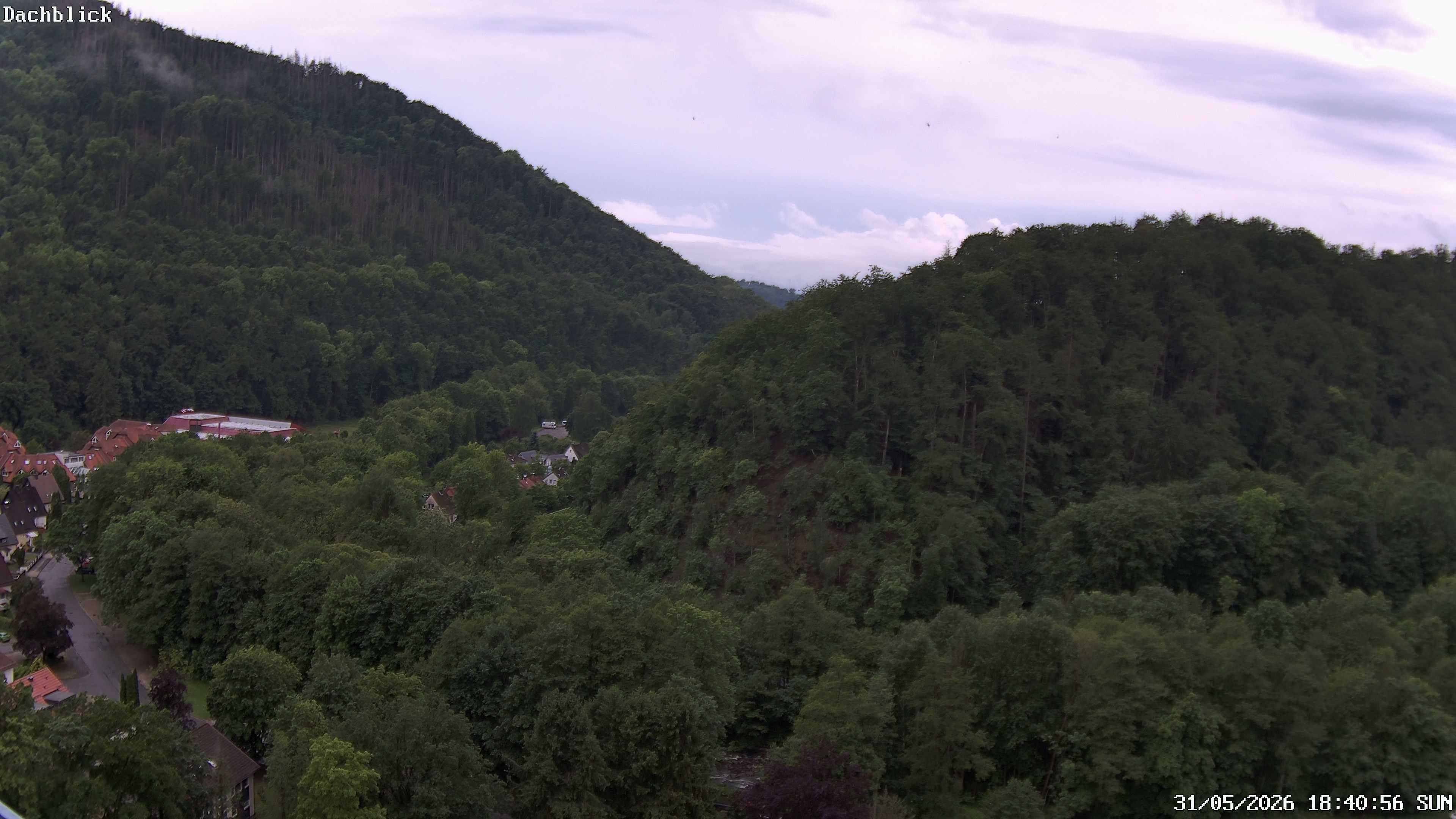 Archiv Foto Webcam Bad Lauterberg: Panoramic Hotel Harz