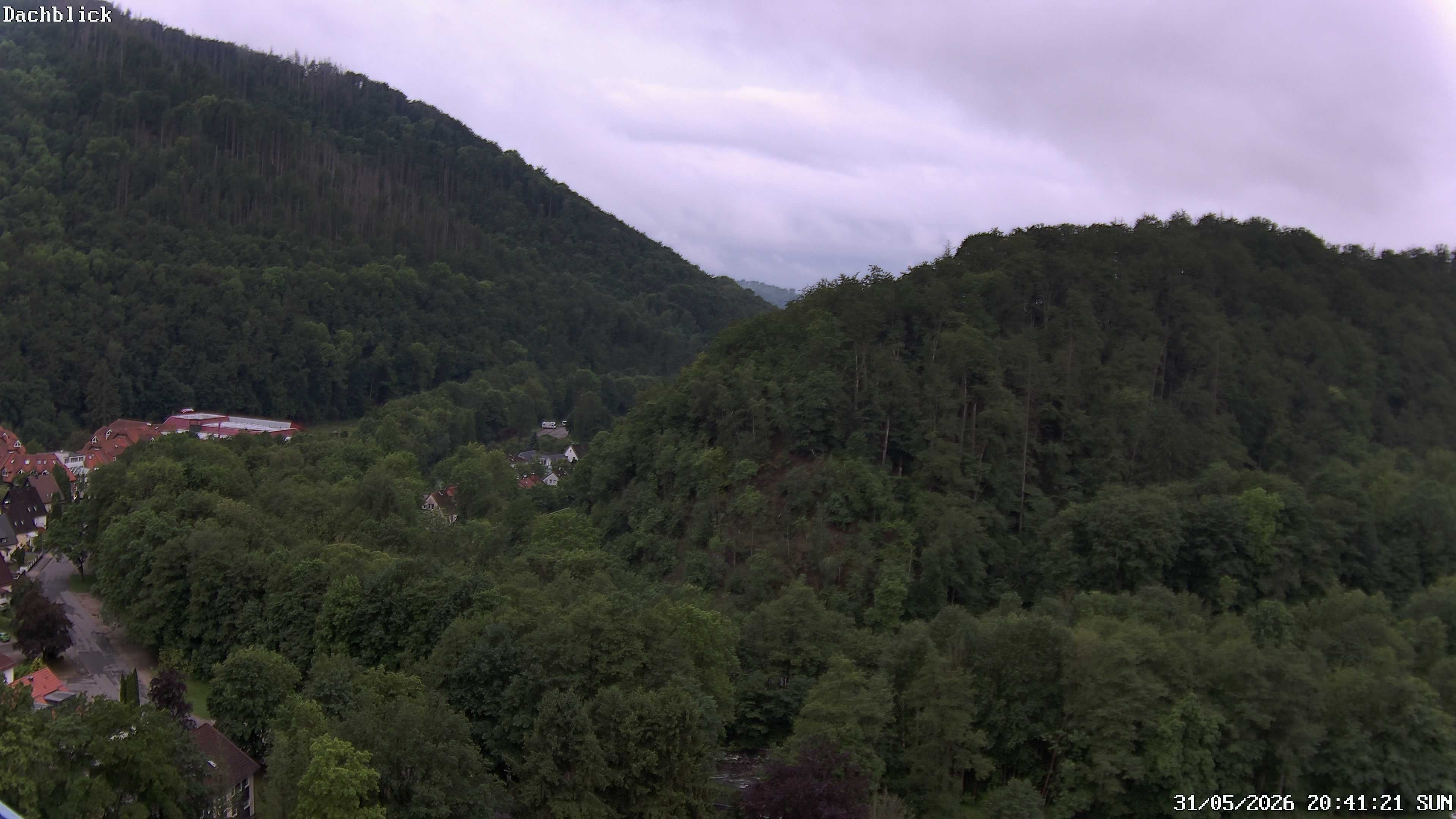 Archiv Foto Webcam Bad Lauterberg: Panoramic Hotel Harz