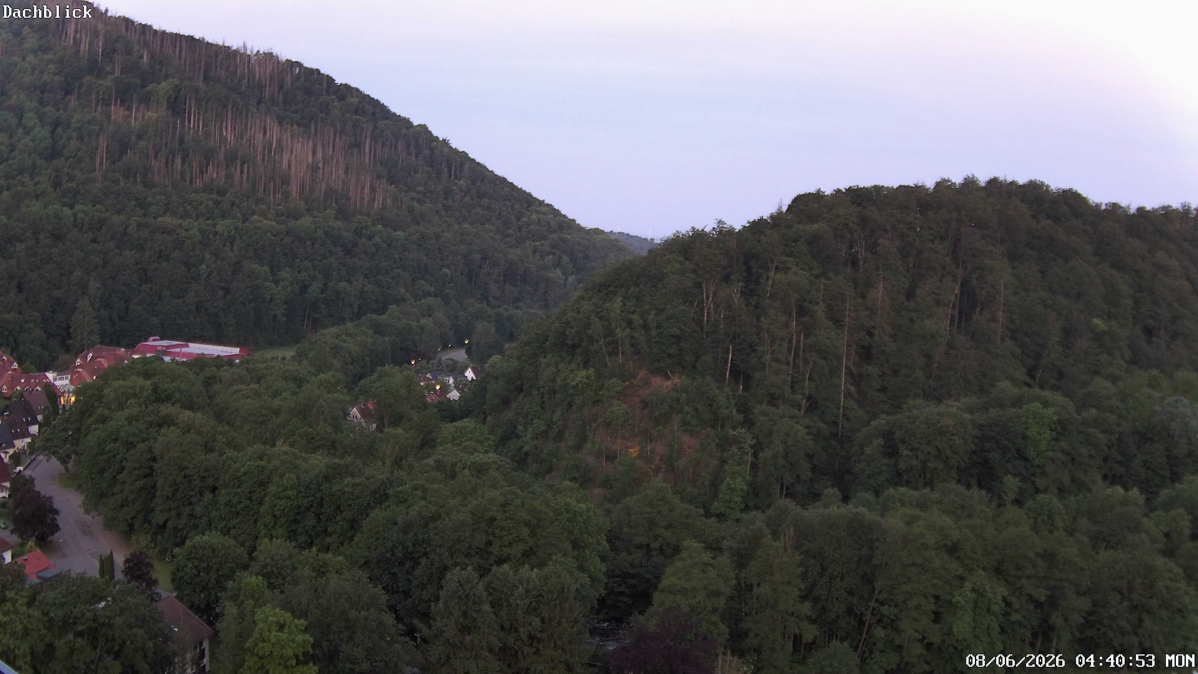 Archiv Foto Webcam Bad Lauterberg: Panoramic Hotel Harz