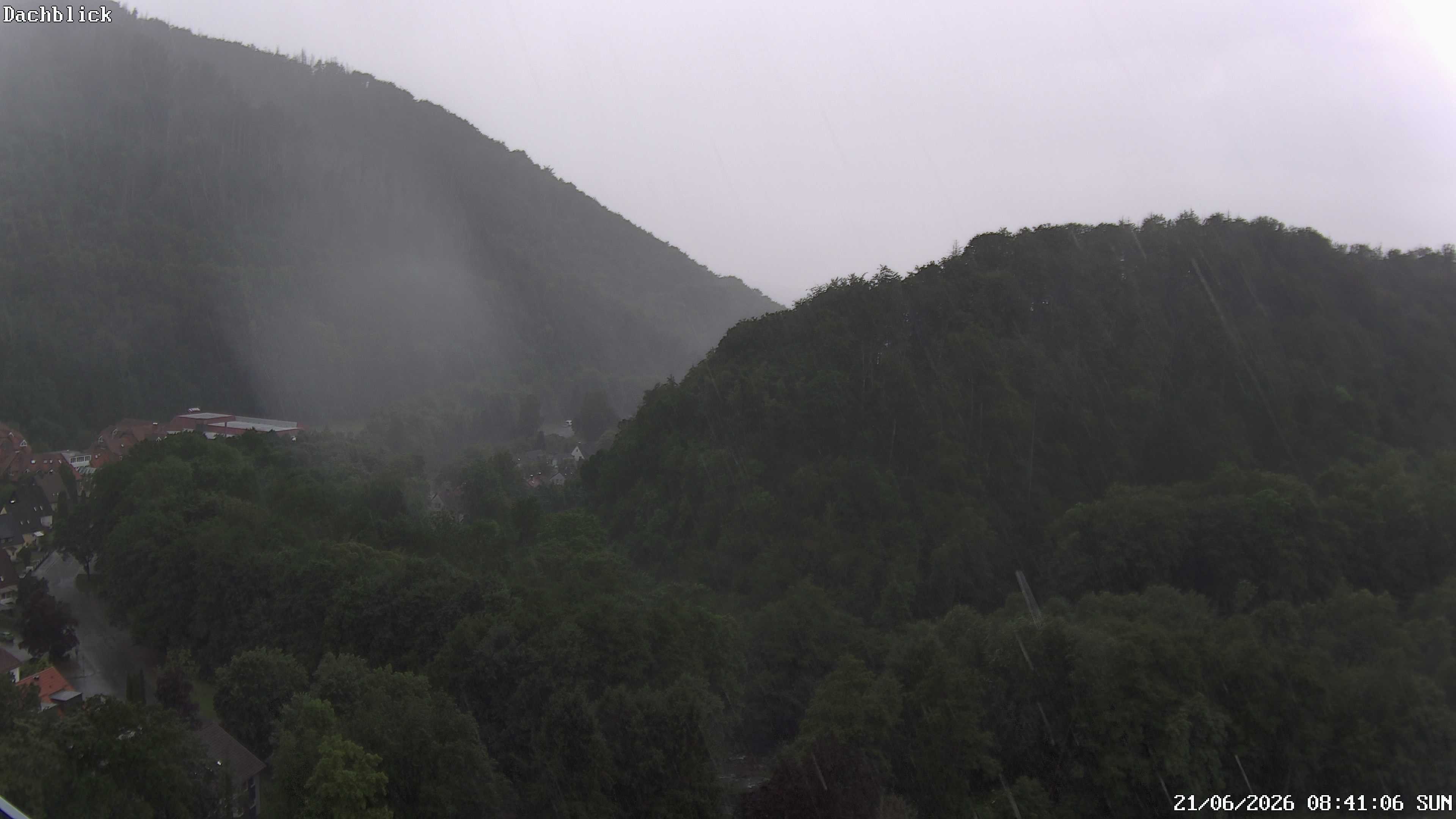 Archiv Foto Webcam Bad Lauterberg: Panoramic Hotel Harz