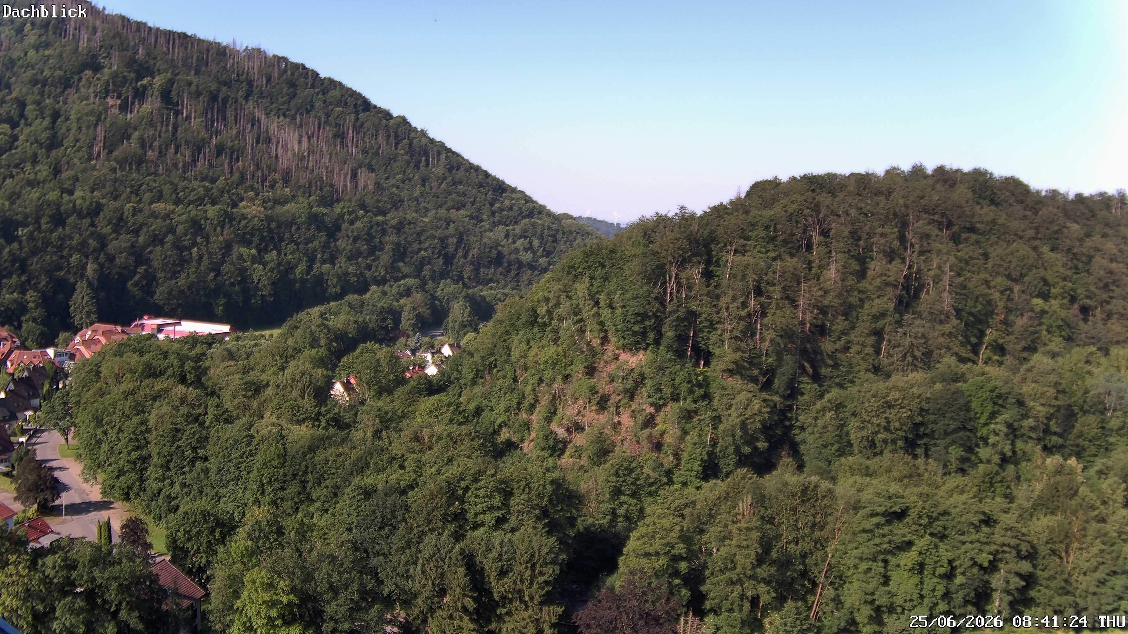 Archiv Foto Webcam Bad Lauterberg: Panoramic Hotel Harz