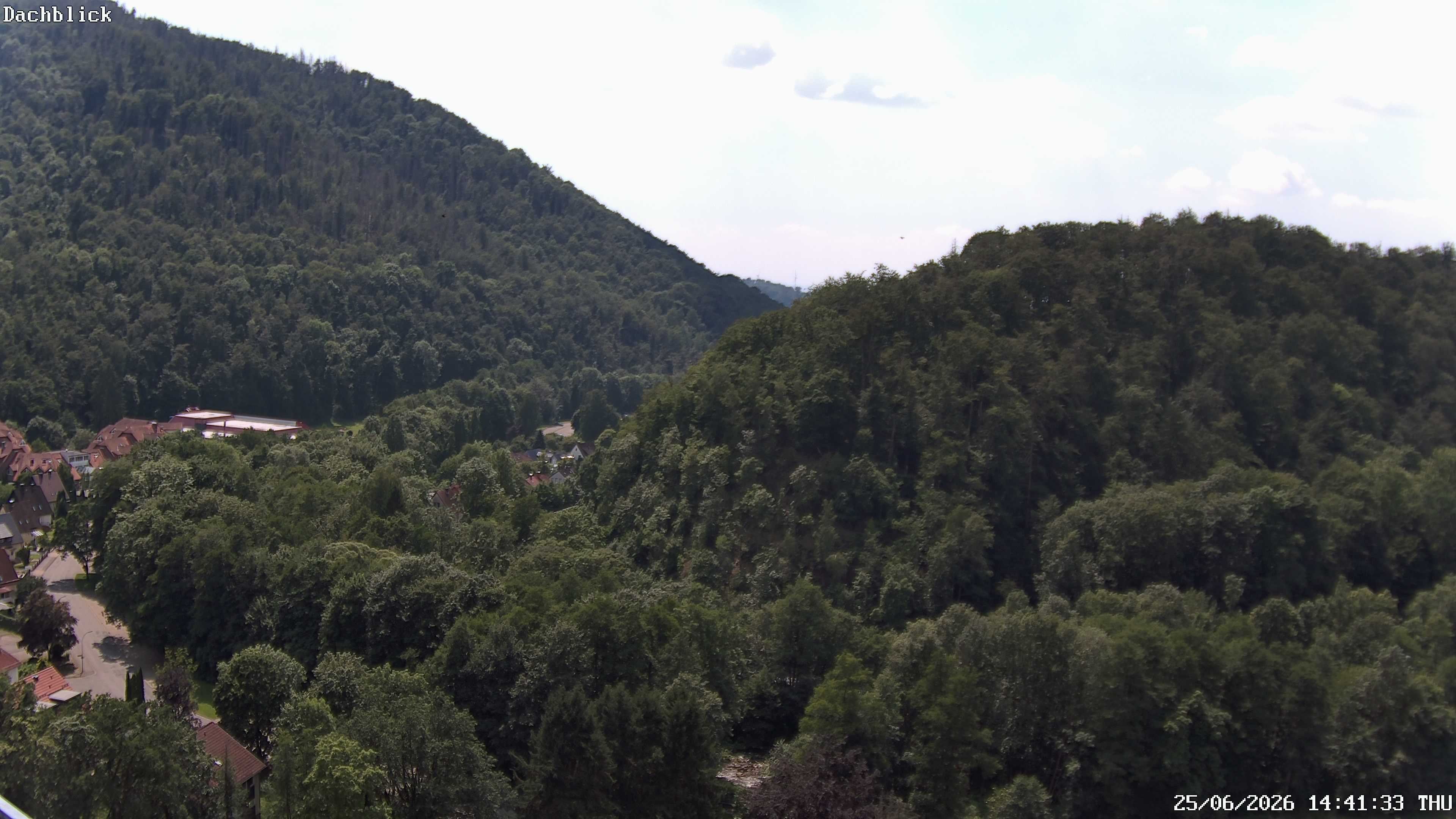 Archiv Foto Webcam Bad Lauterberg: Panoramic Hotel Harz