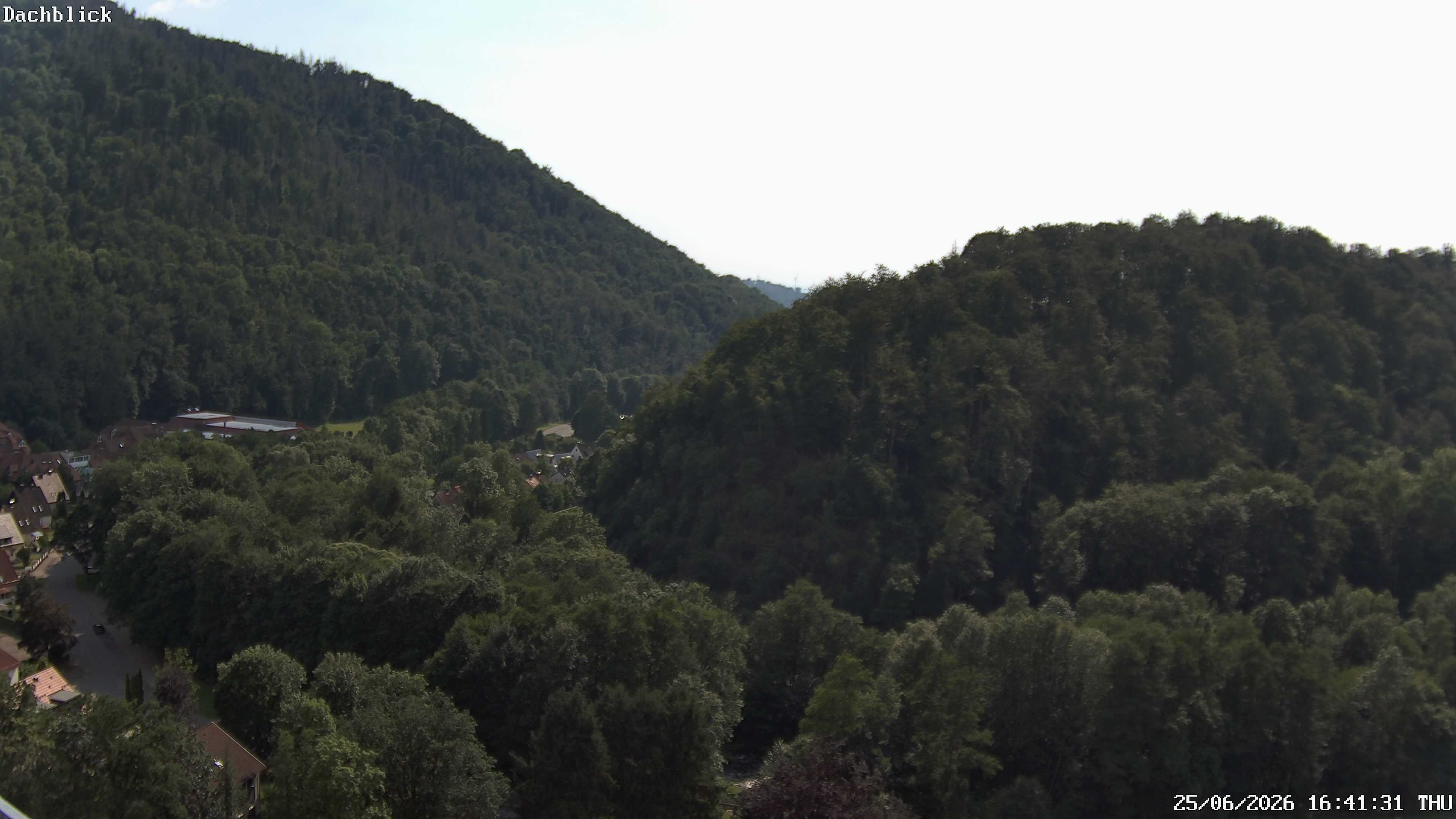 Archiv Foto Webcam Bad Lauterberg: Panoramic Hotel Harz