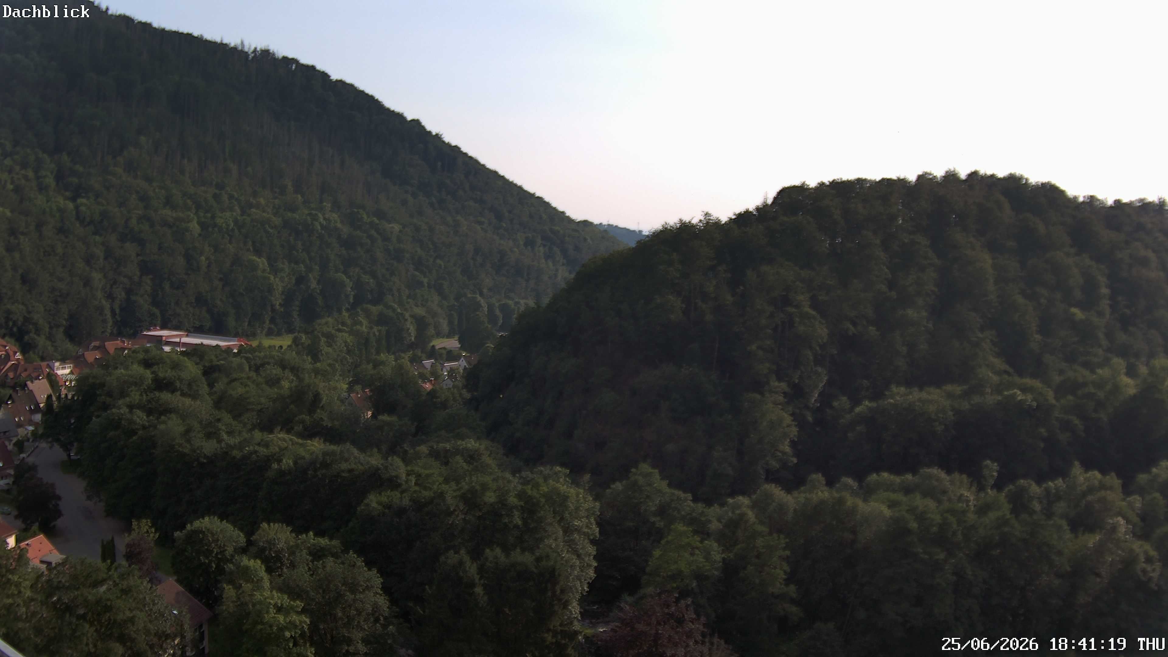 Archiv Foto Webcam Bad Lauterberg: Panoramic Hotel Harz