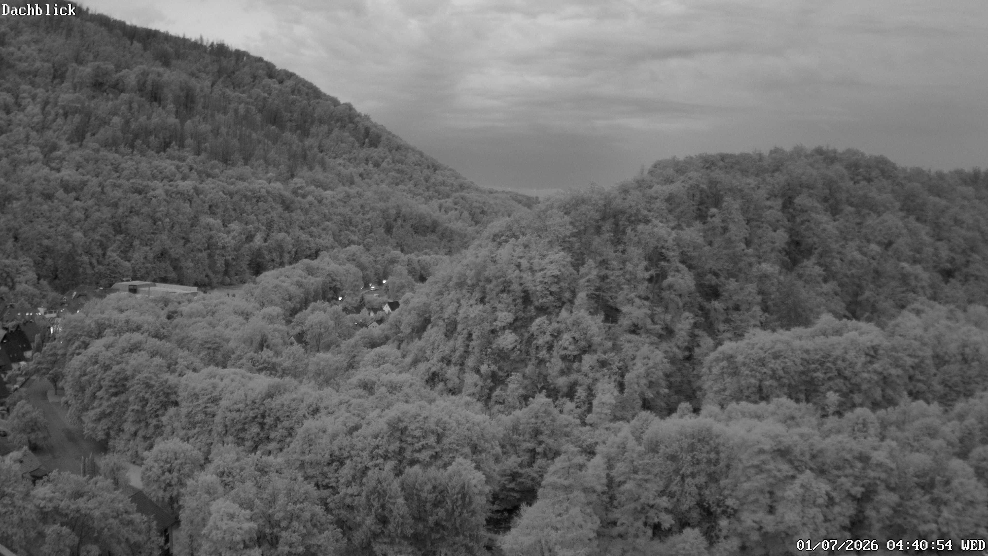Archiv Foto Webcam Bad Lauterberg: Panoramic Hotel Harz