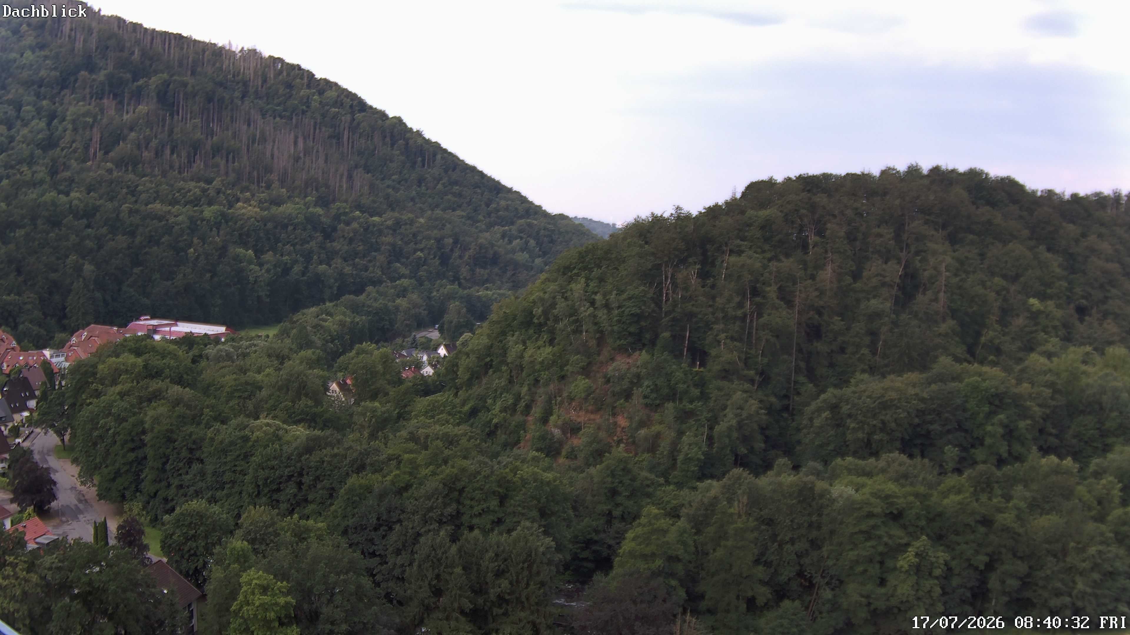 Archiv Foto Webcam Bad Lauterberg: Panoramic Hotel Harz