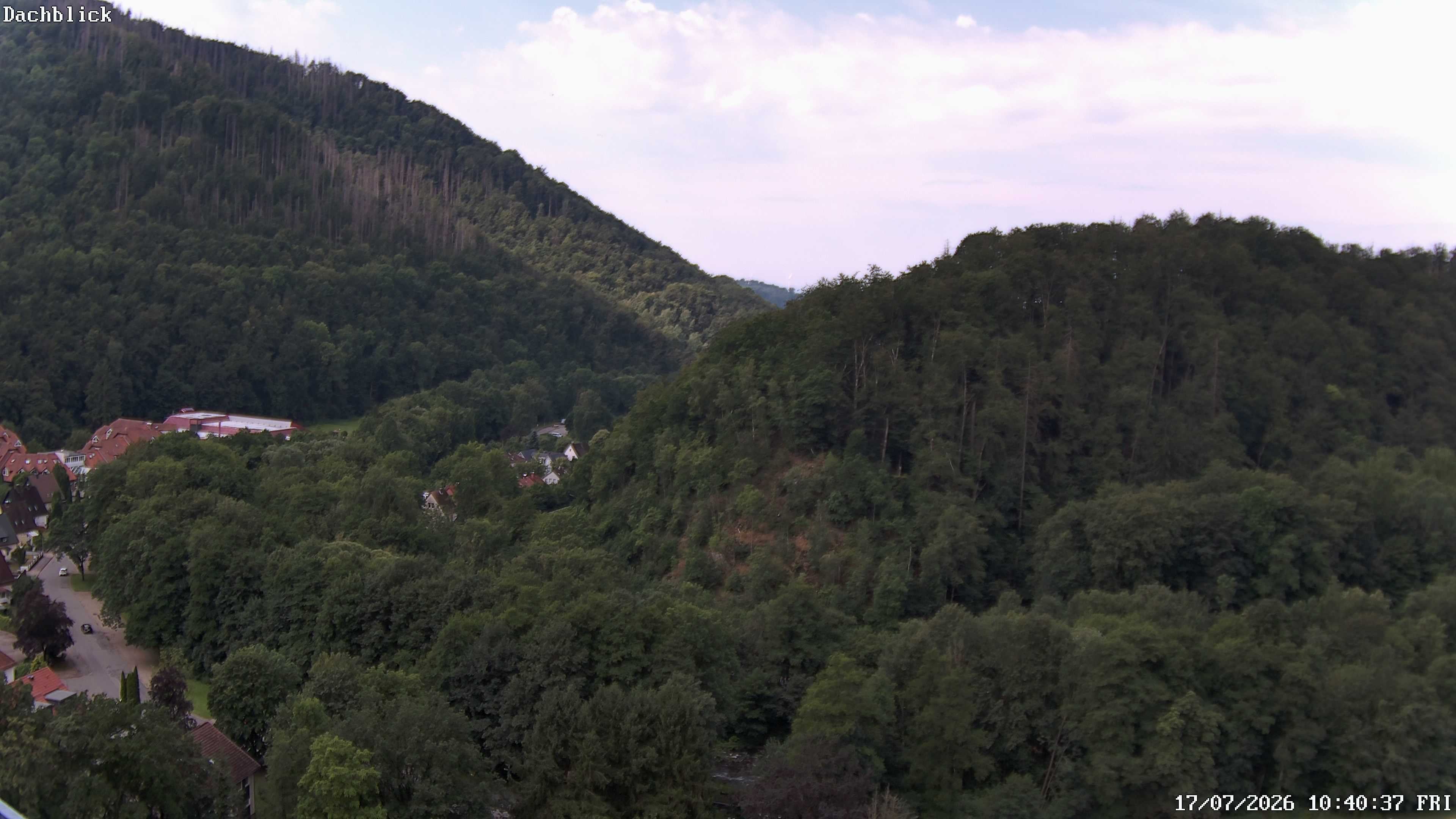 Archiv Foto Webcam Bad Lauterberg: Panoramic Hotel Harz