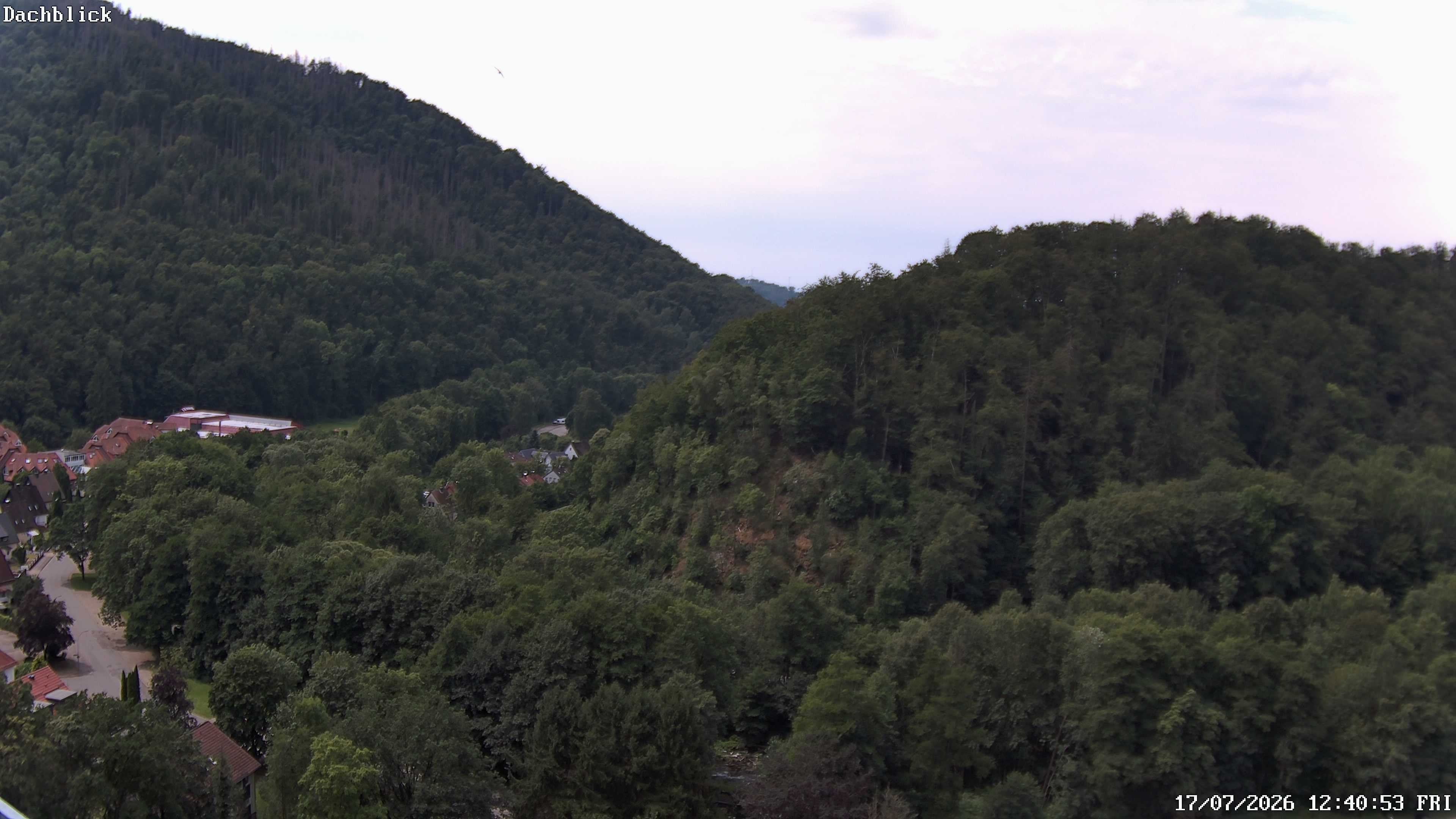 Archiv Foto Webcam Bad Lauterberg: Panoramic Hotel Harz