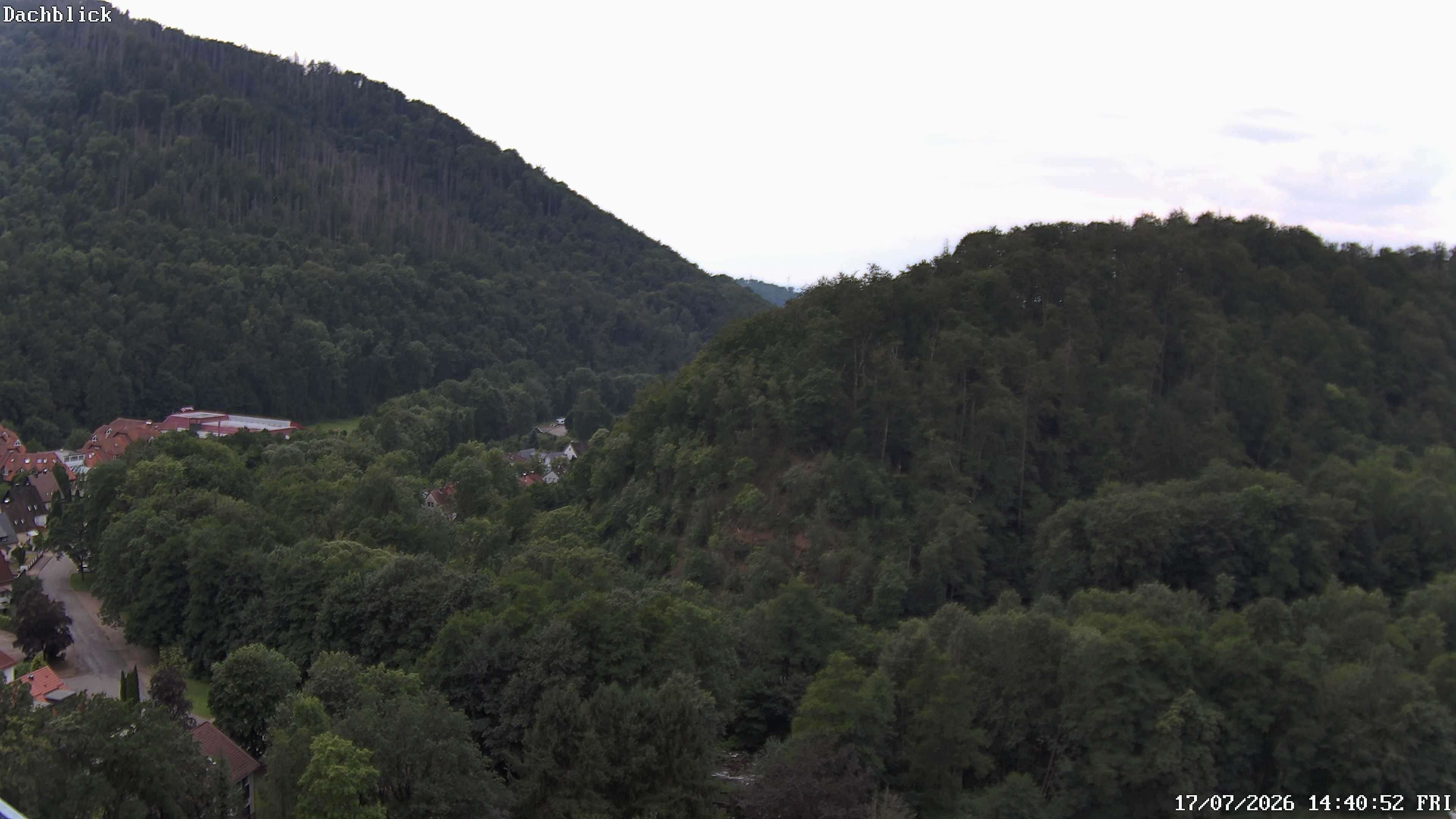 Archiv Foto Webcam Bad Lauterberg: Panoramic Hotel Harz