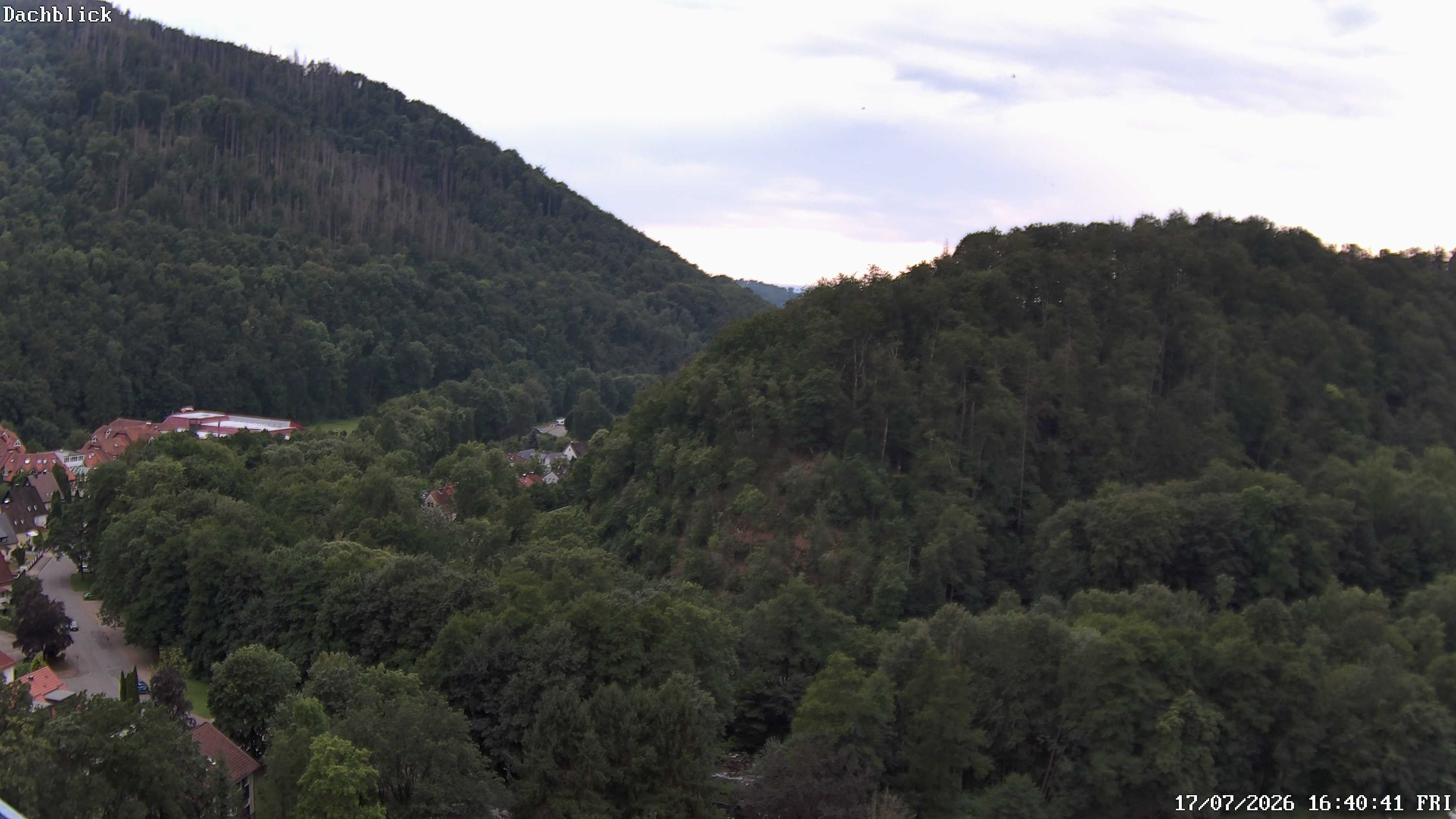 Archiv Foto Webcam Bad Lauterberg: Panoramic Hotel Harz