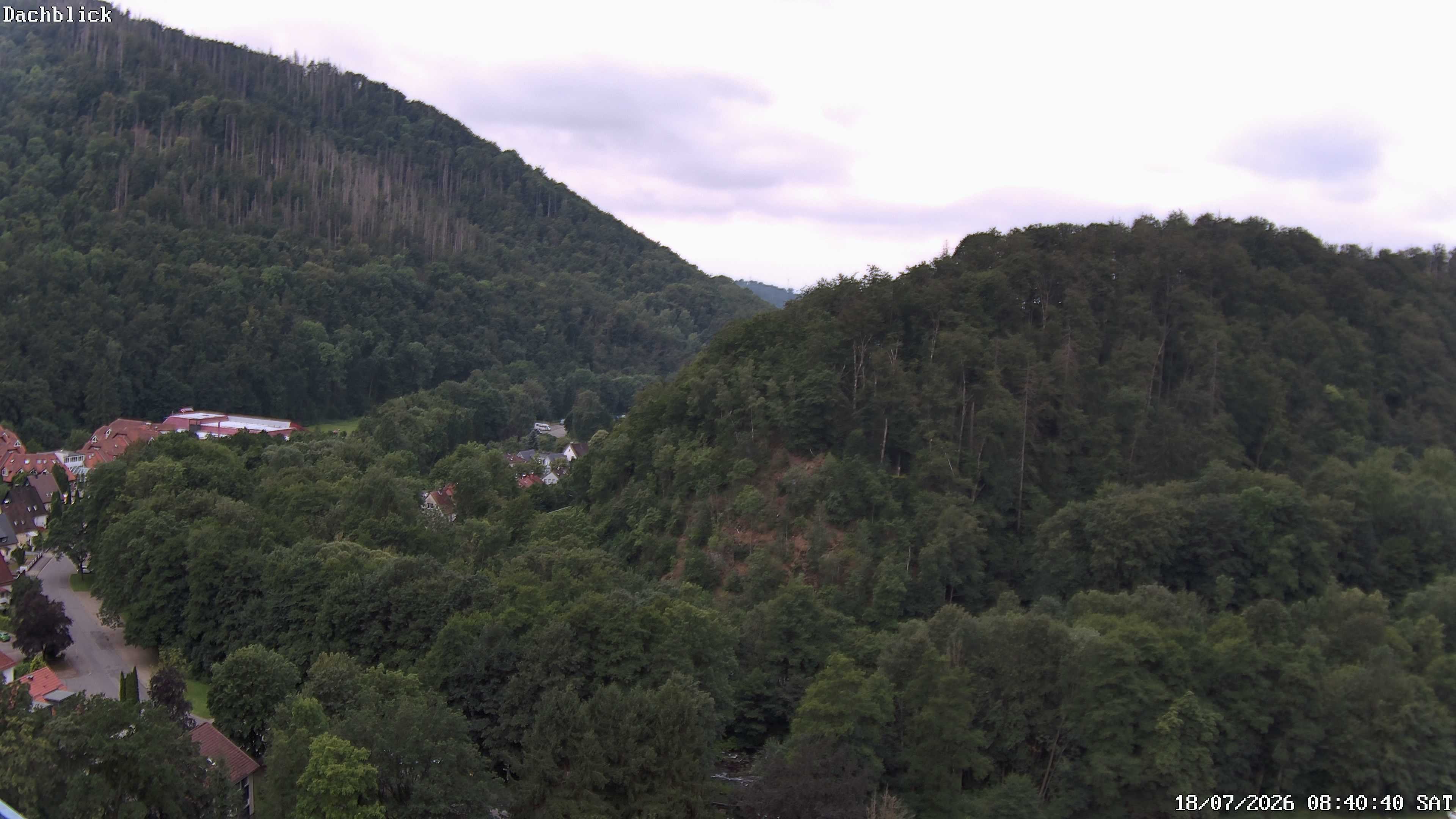 Archived image Webcam Bad Lauterberg: View Panoramic Hotel
