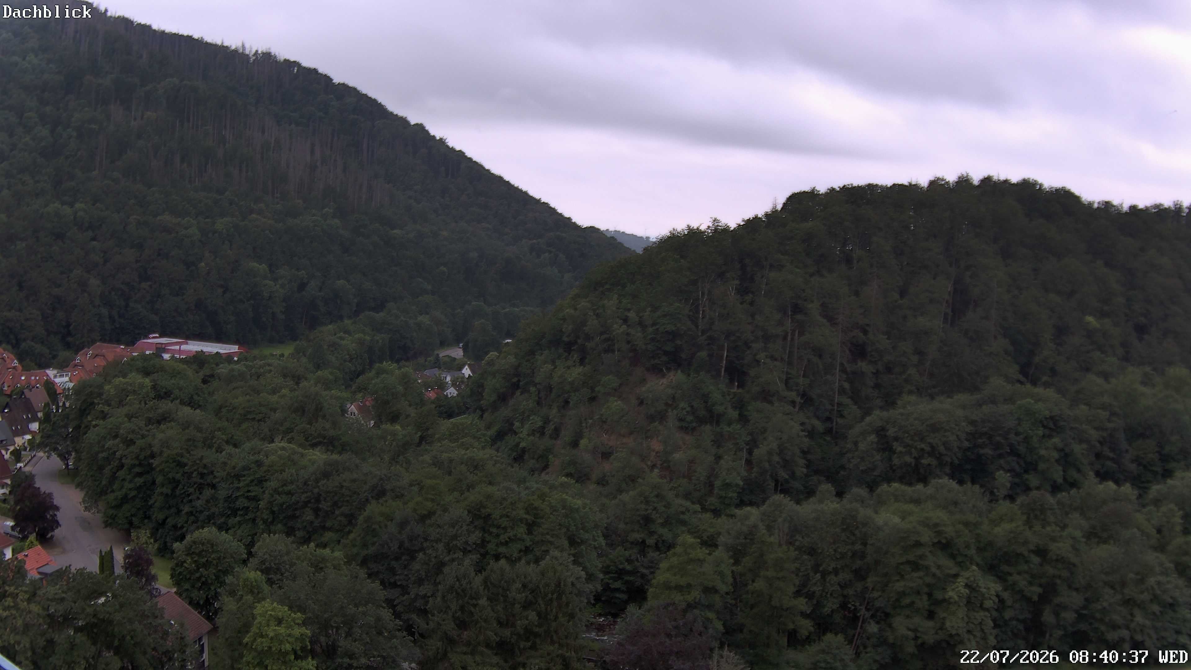 Archived image Webcam Bad Lauterberg: View Panoramic Hotel