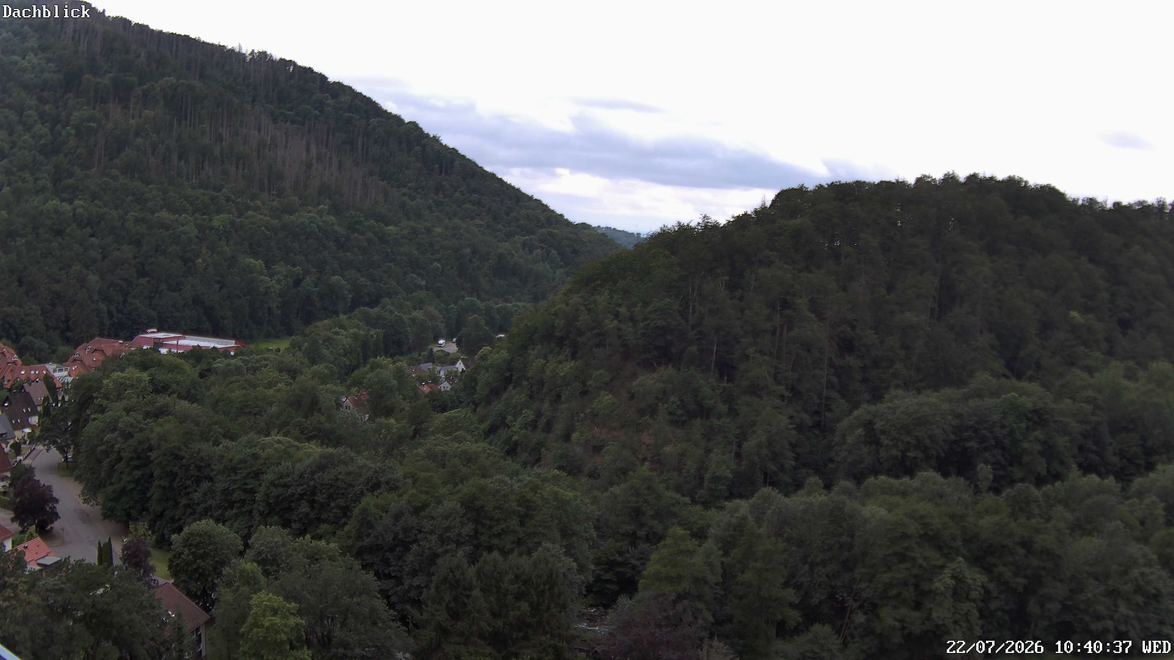 Archived image Webcam Bad Lauterberg: View Panoramic Hotel