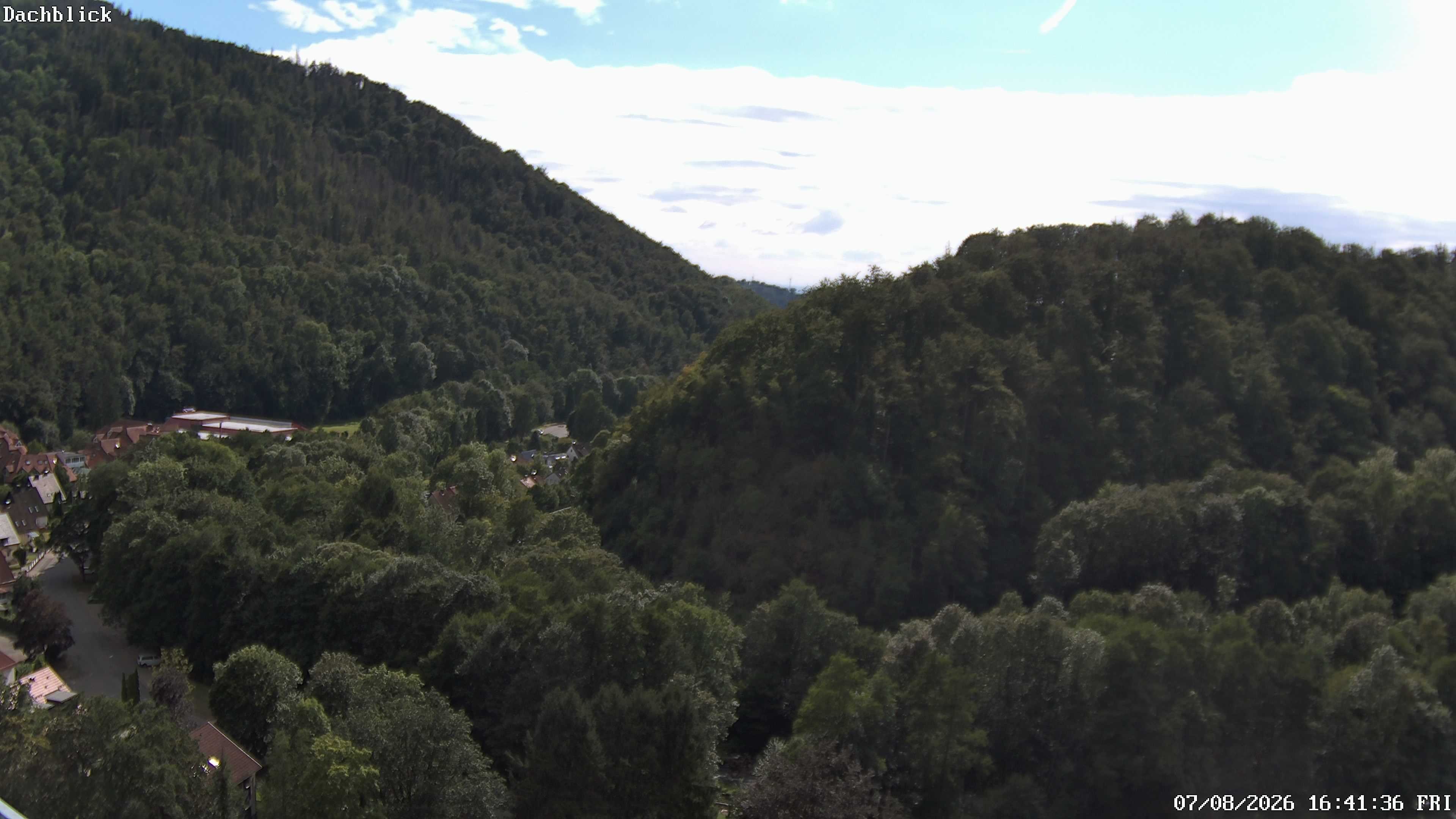 Archiv Foto Webcam Bad Lauterberg: Panoramic Hotel Harz