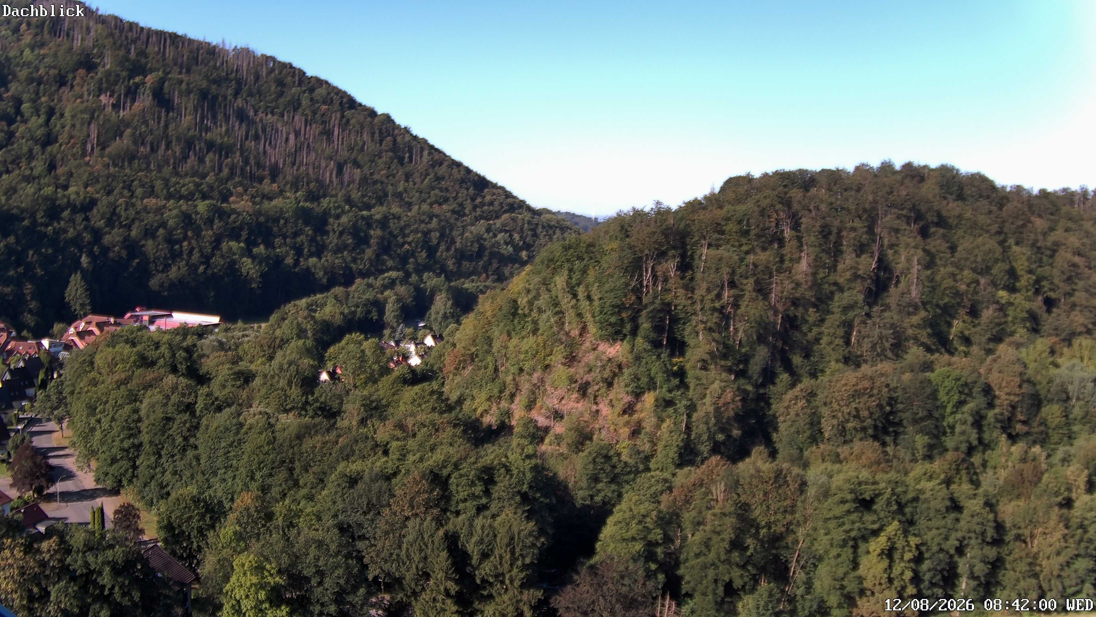 Archiv Foto Webcam Bad Lauterberg: Panoramic Hotel Harz