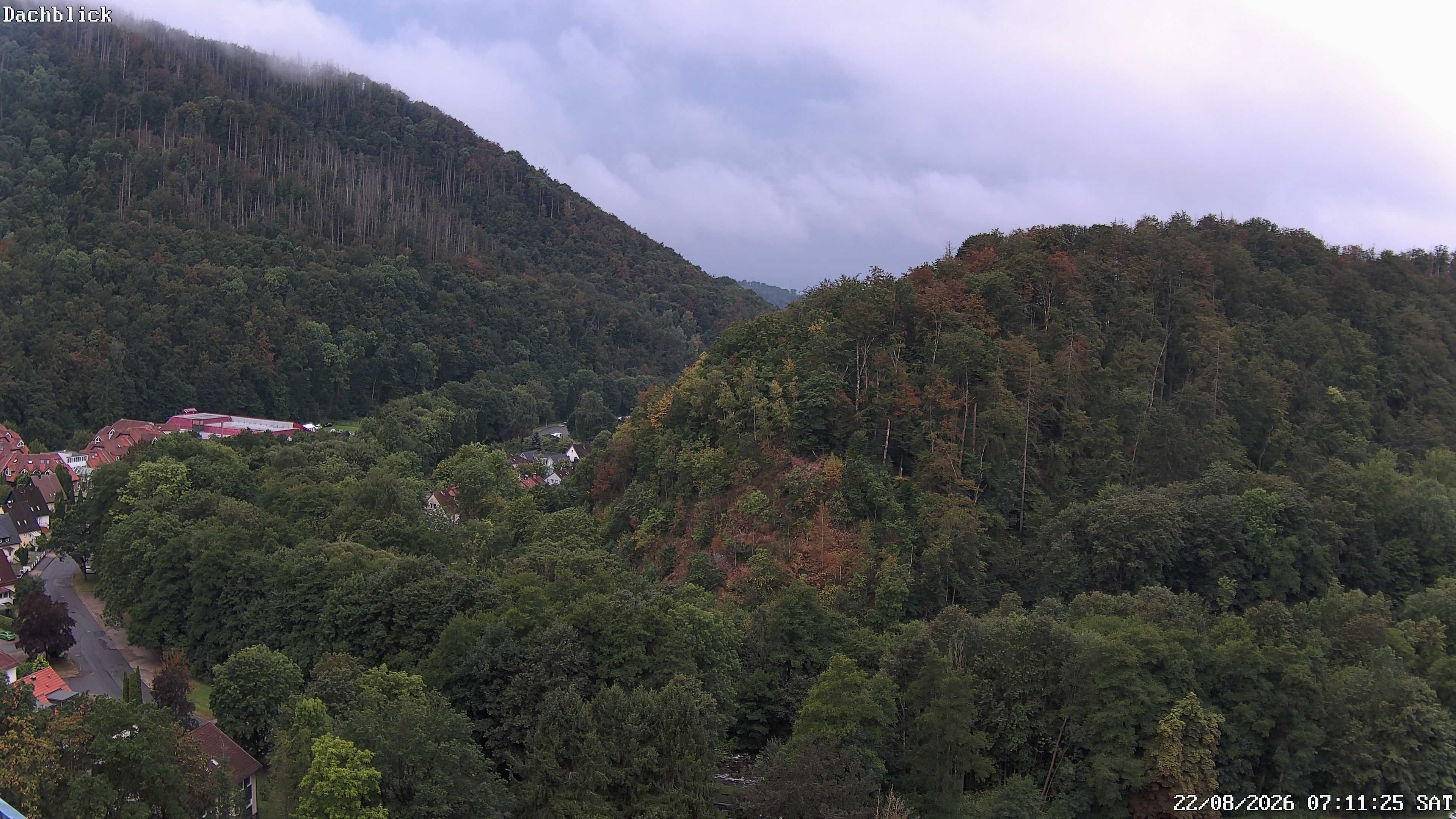 Archiv Foto Webcam Bad Lauterberg: Panoramic Hotel Harz