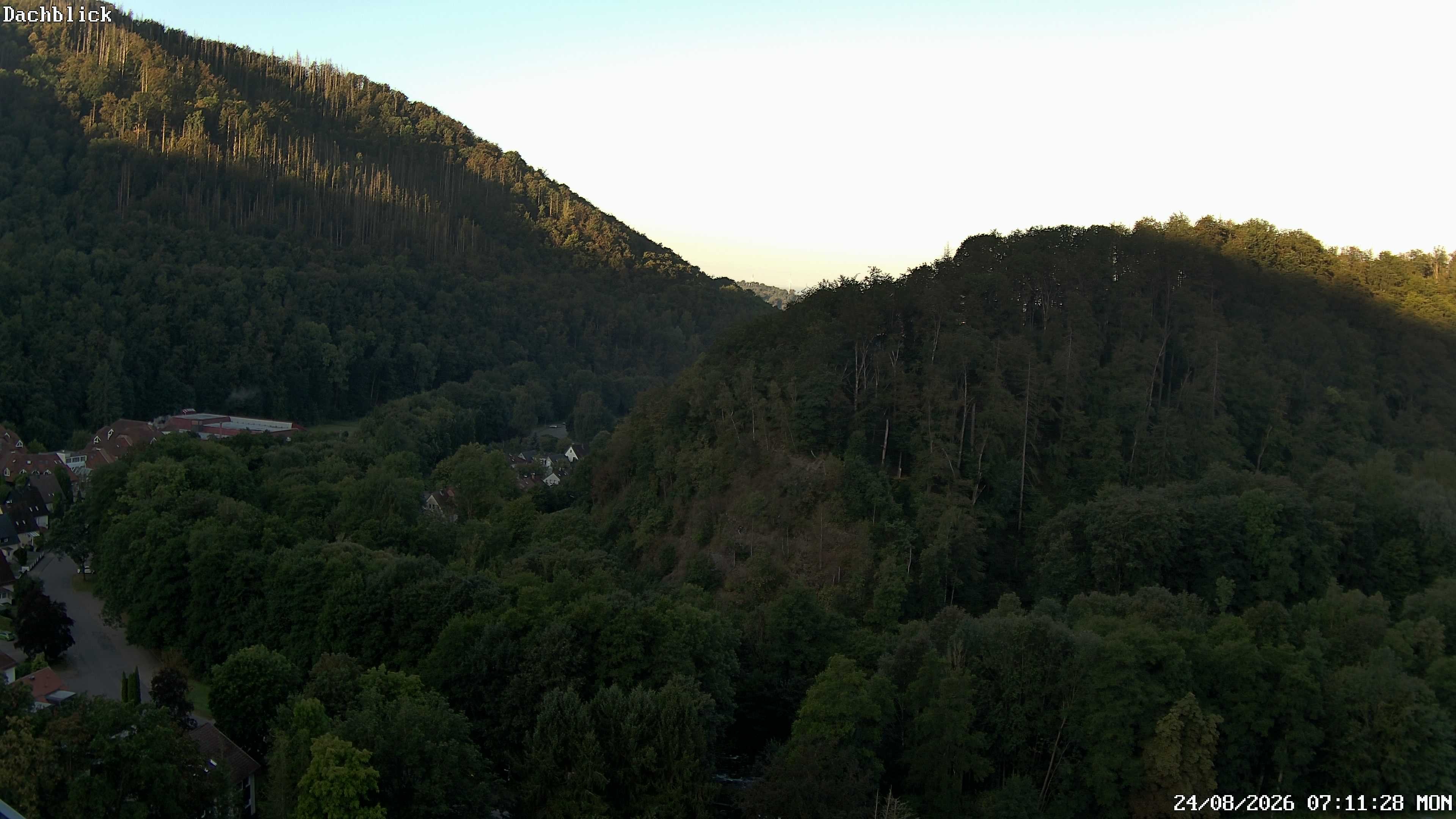 Archiv Foto Webcam Bad Lauterberg: Panoramic Hotel Harz