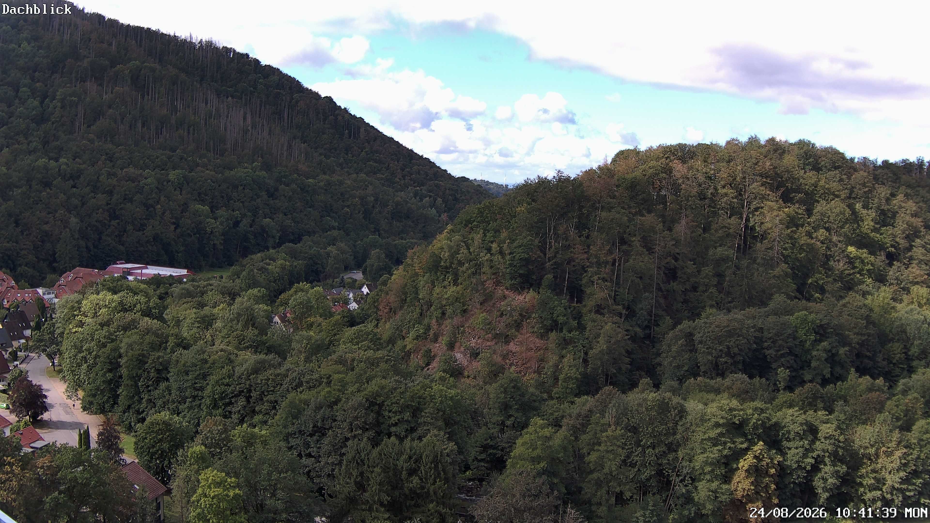 Archiv Foto Webcam Bad Lauterberg: Panoramic Hotel Harz