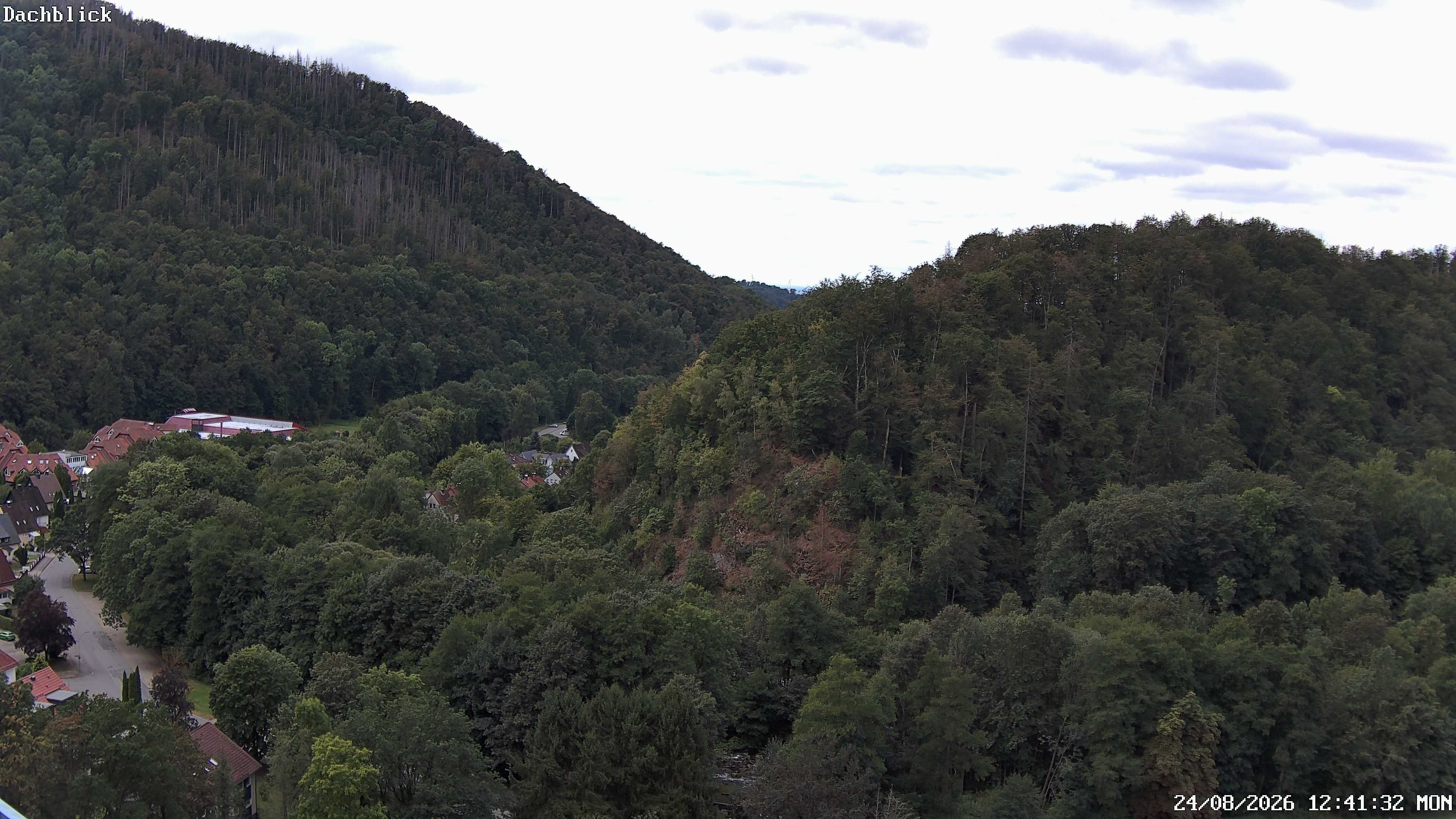 Archiv Foto Webcam Bad Lauterberg: Panoramic Hotel Harz