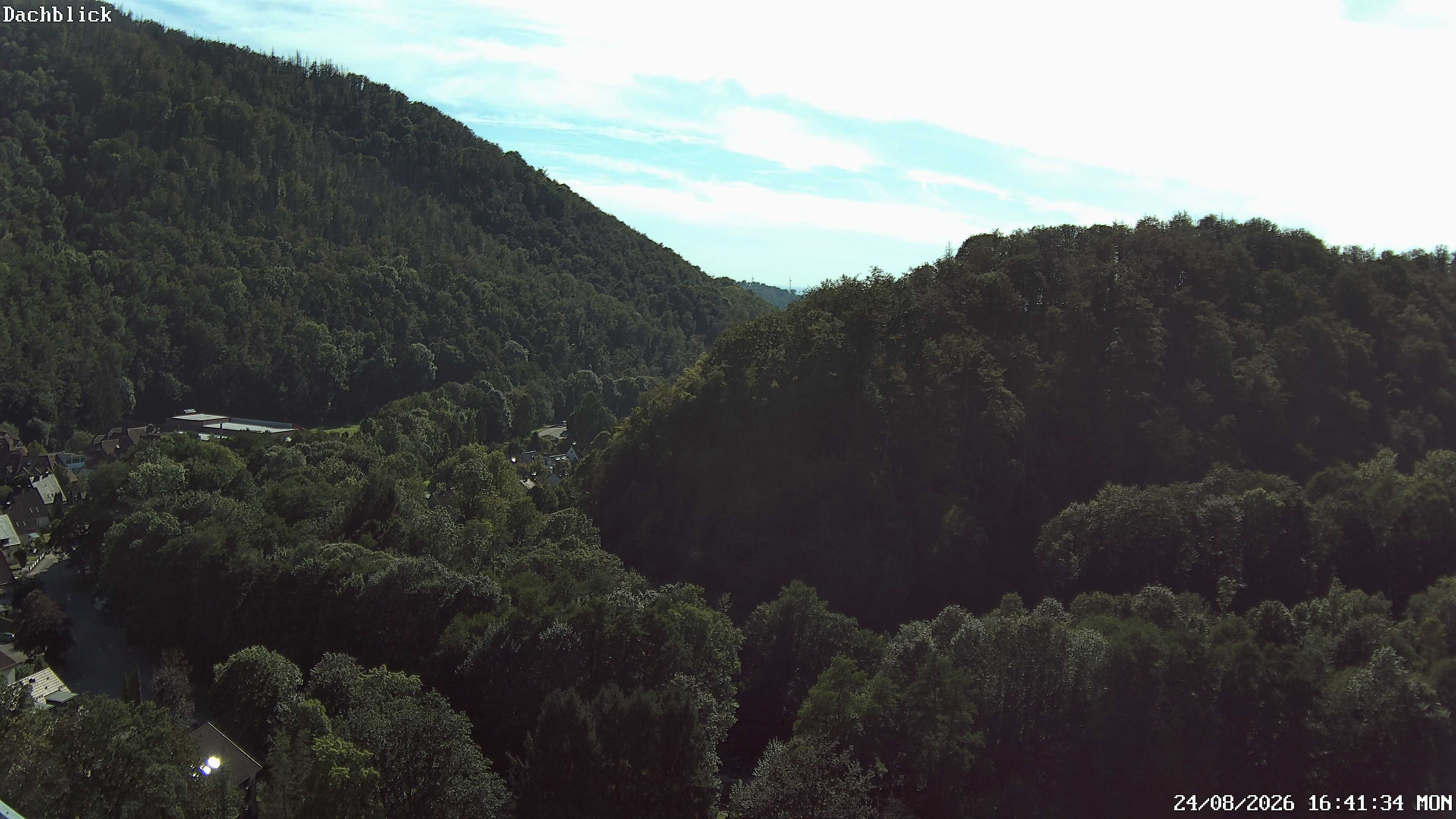 Archiv Foto Webcam Bad Lauterberg: Panoramic Hotel Harz