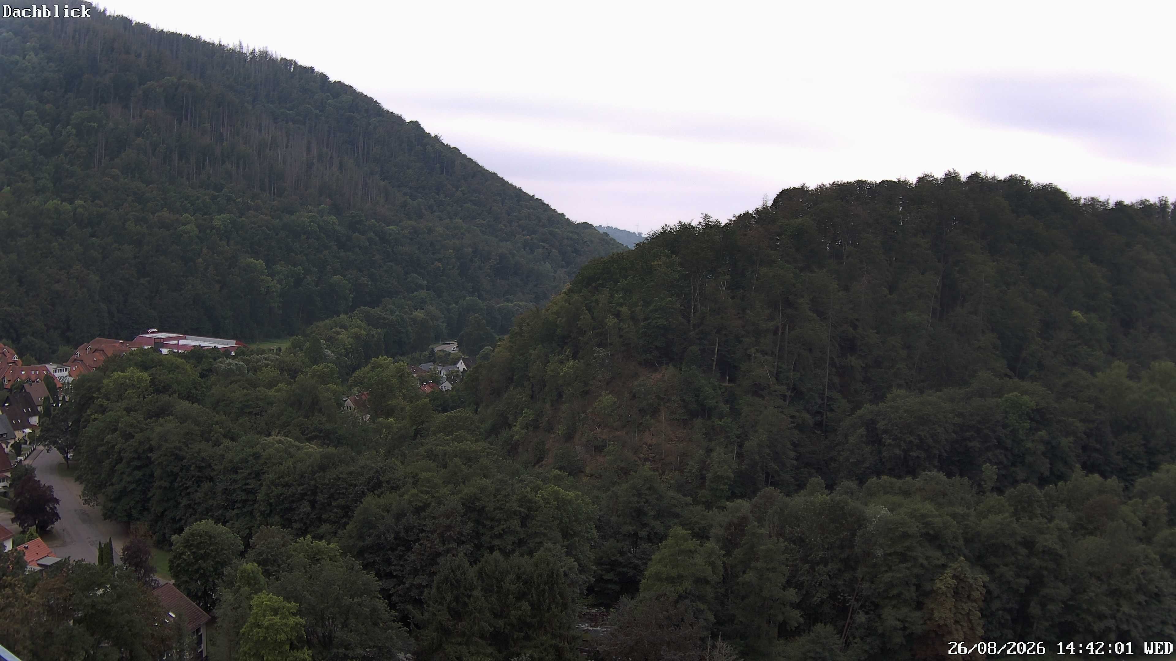 Archived image Webcam Bad Lauterberg: View Panoramic Hotel