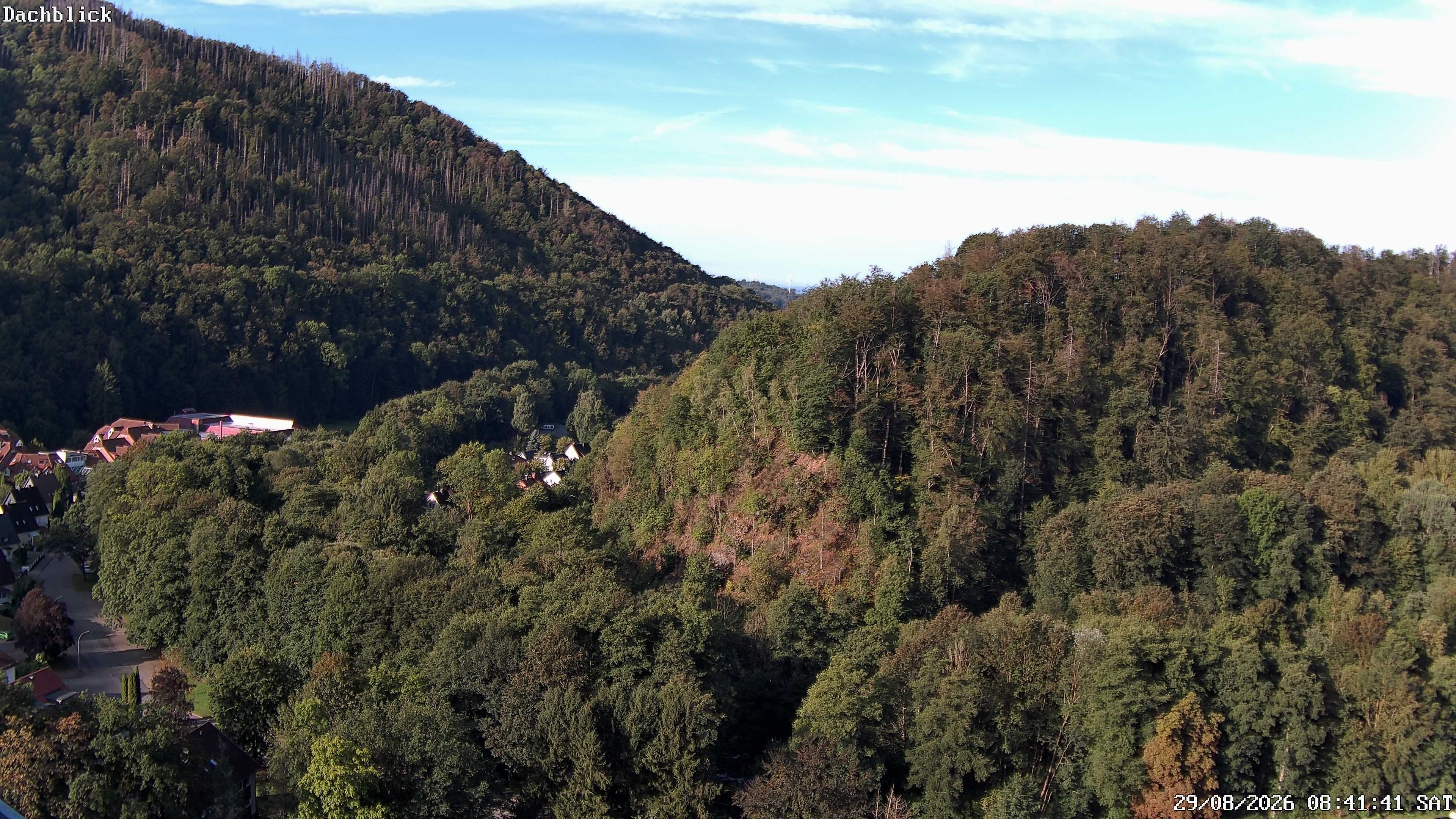 Archiv Foto Webcam Bad Lauterberg: Panoramic Hotel Harz