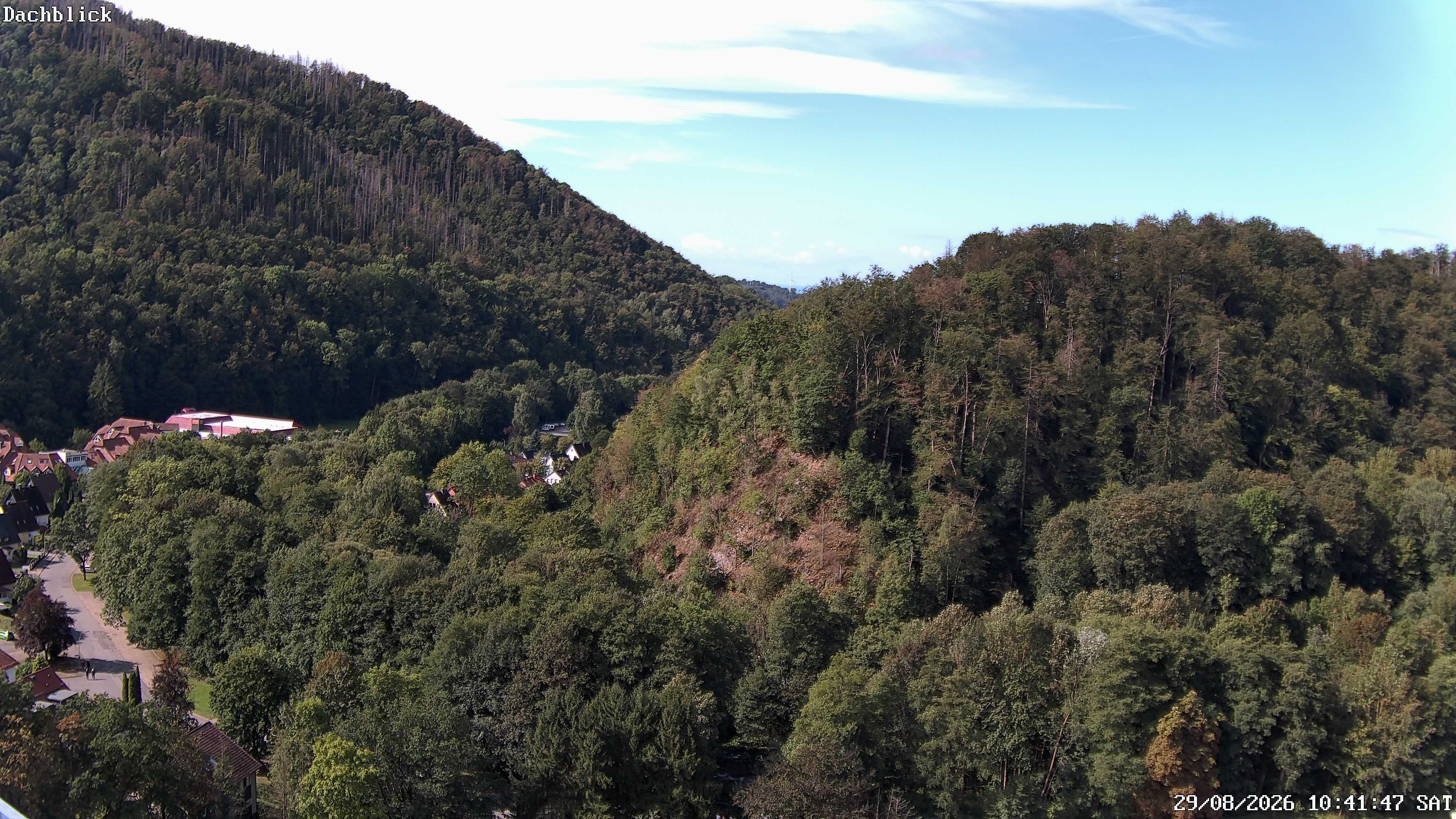 Archiv Foto Webcam Bad Lauterberg: Panoramic Hotel Harz