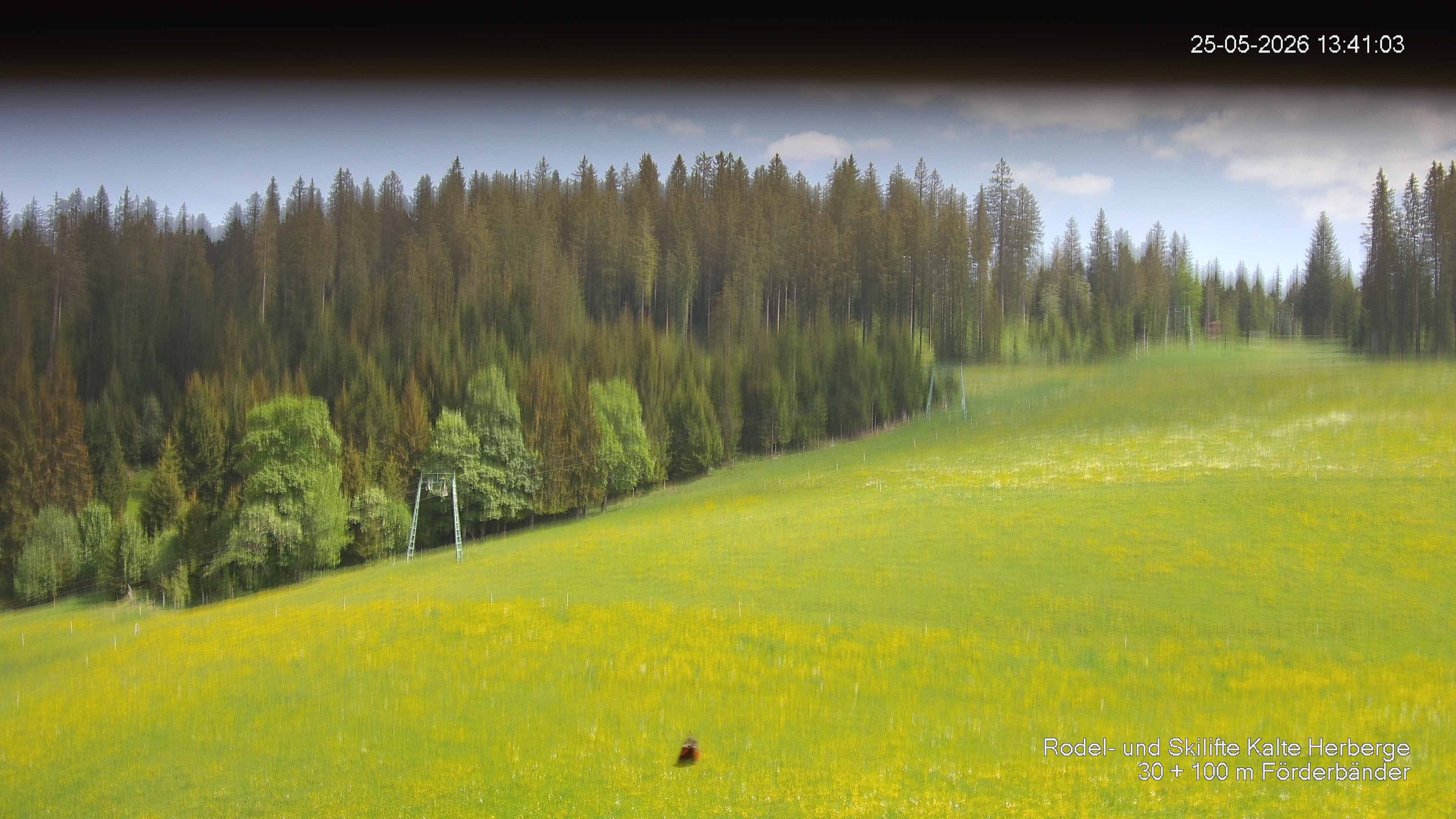 Archived image Webcam Ski lift Kalte Herberge