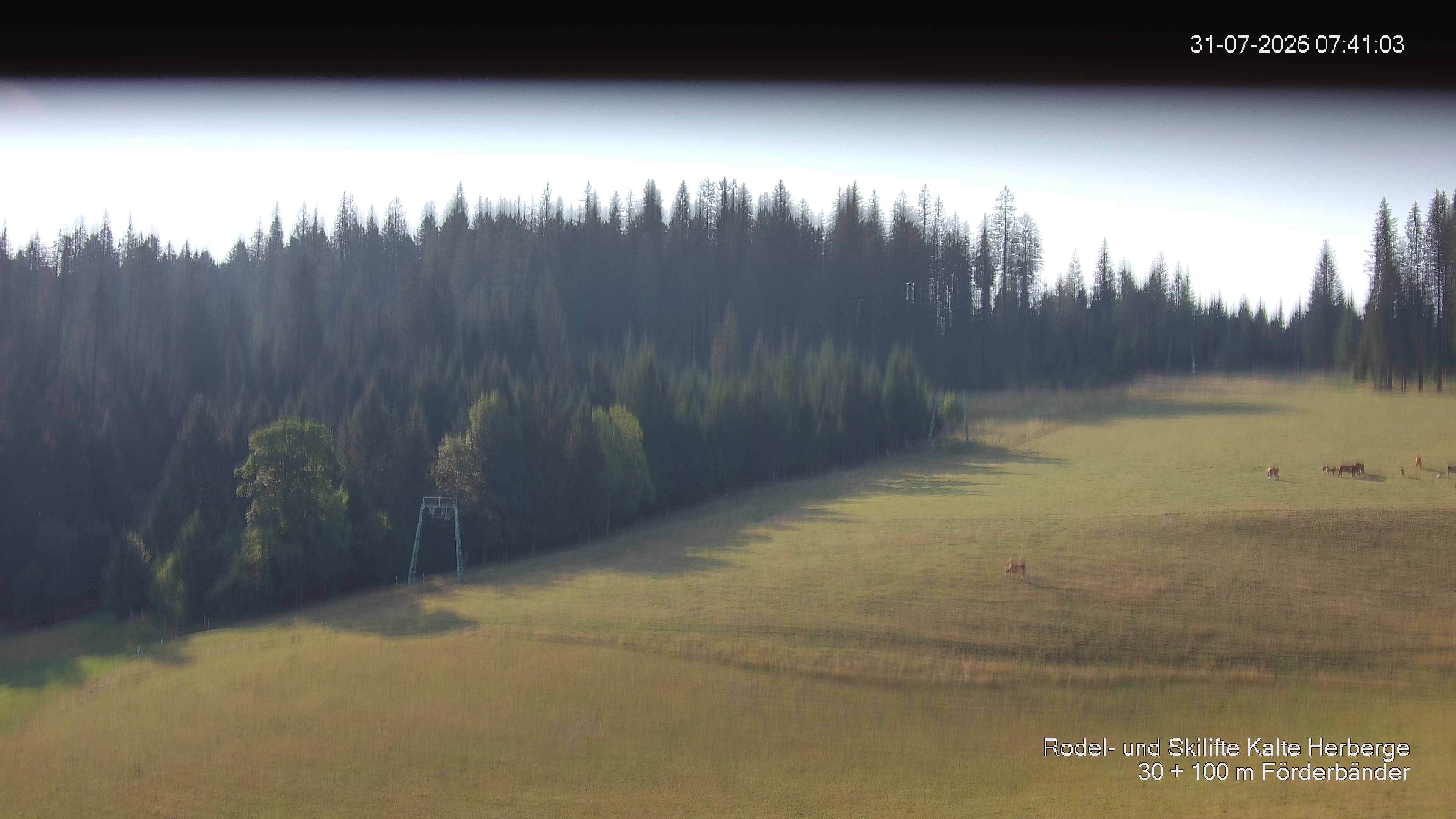 Archiv Foto Webcam Skipiste Kalte Herberge