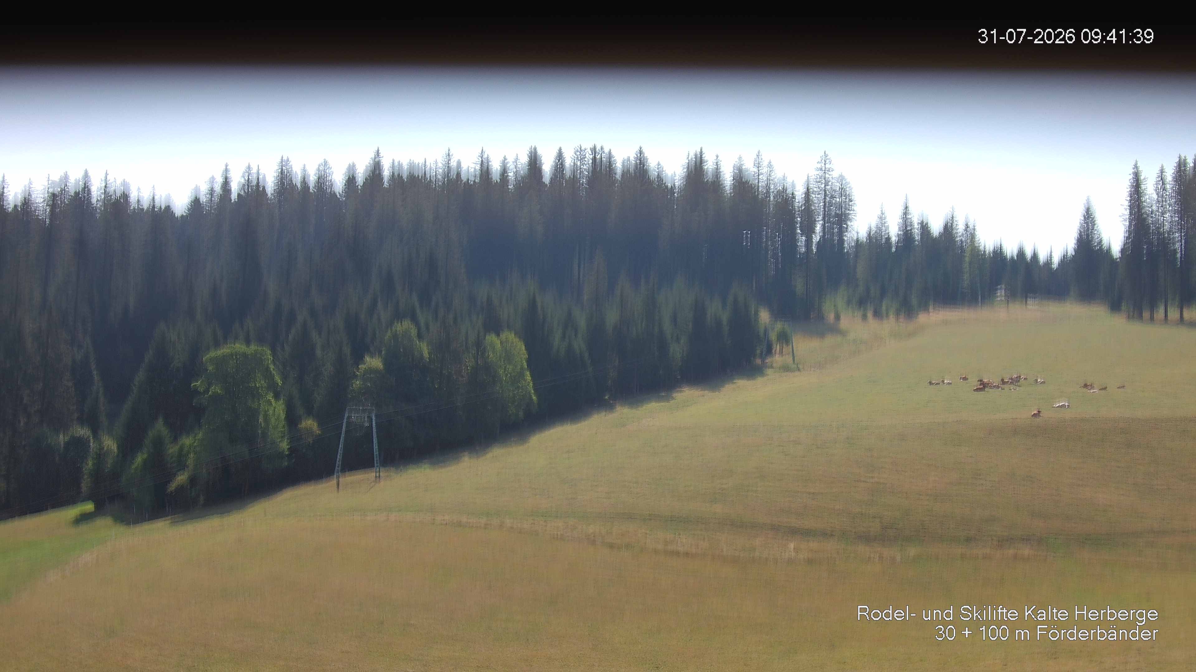 Archiv Foto Webcam Skipiste Kalte Herberge
