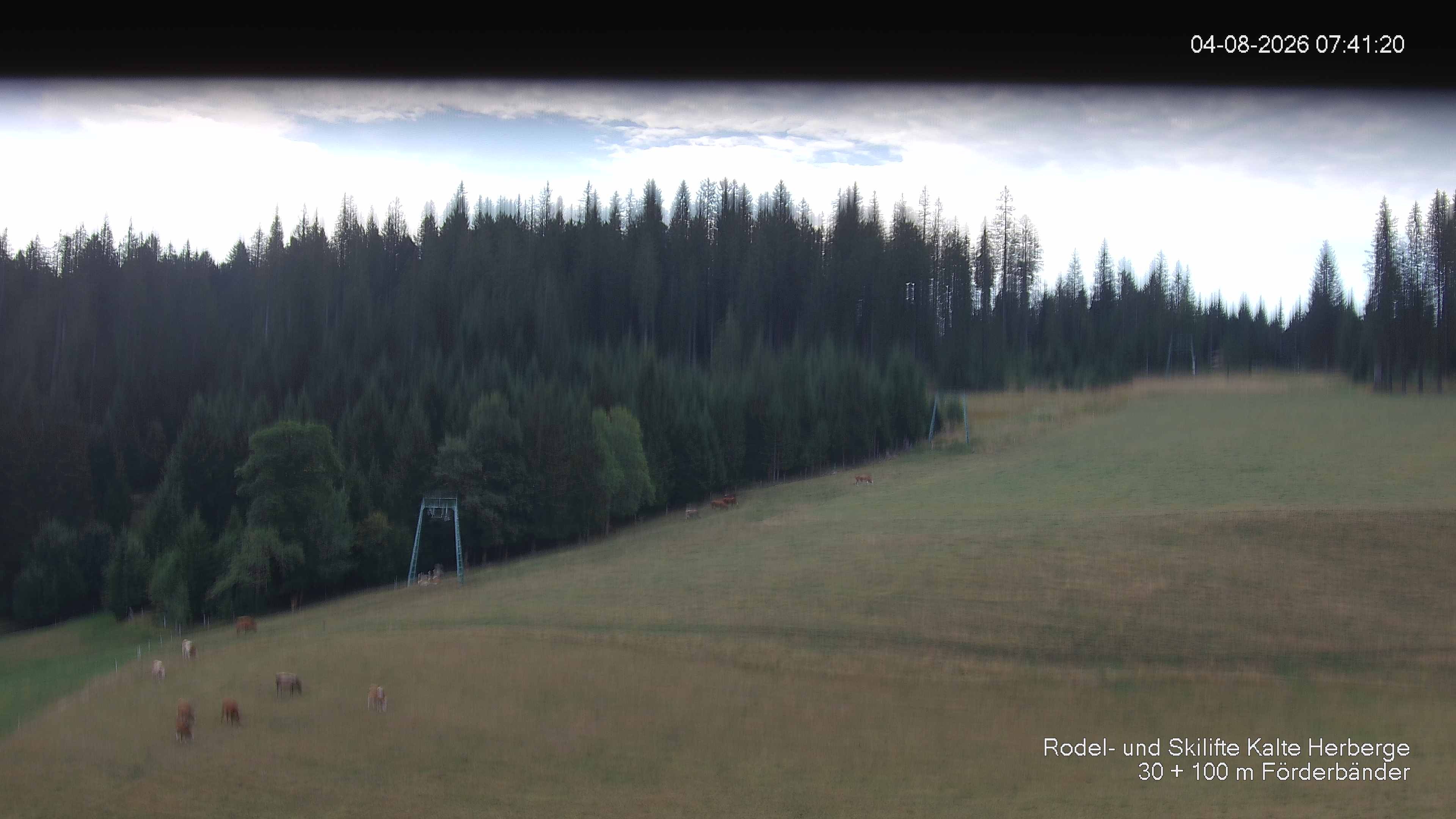 Archiv Foto Webcam Skipiste Kalte Herberge